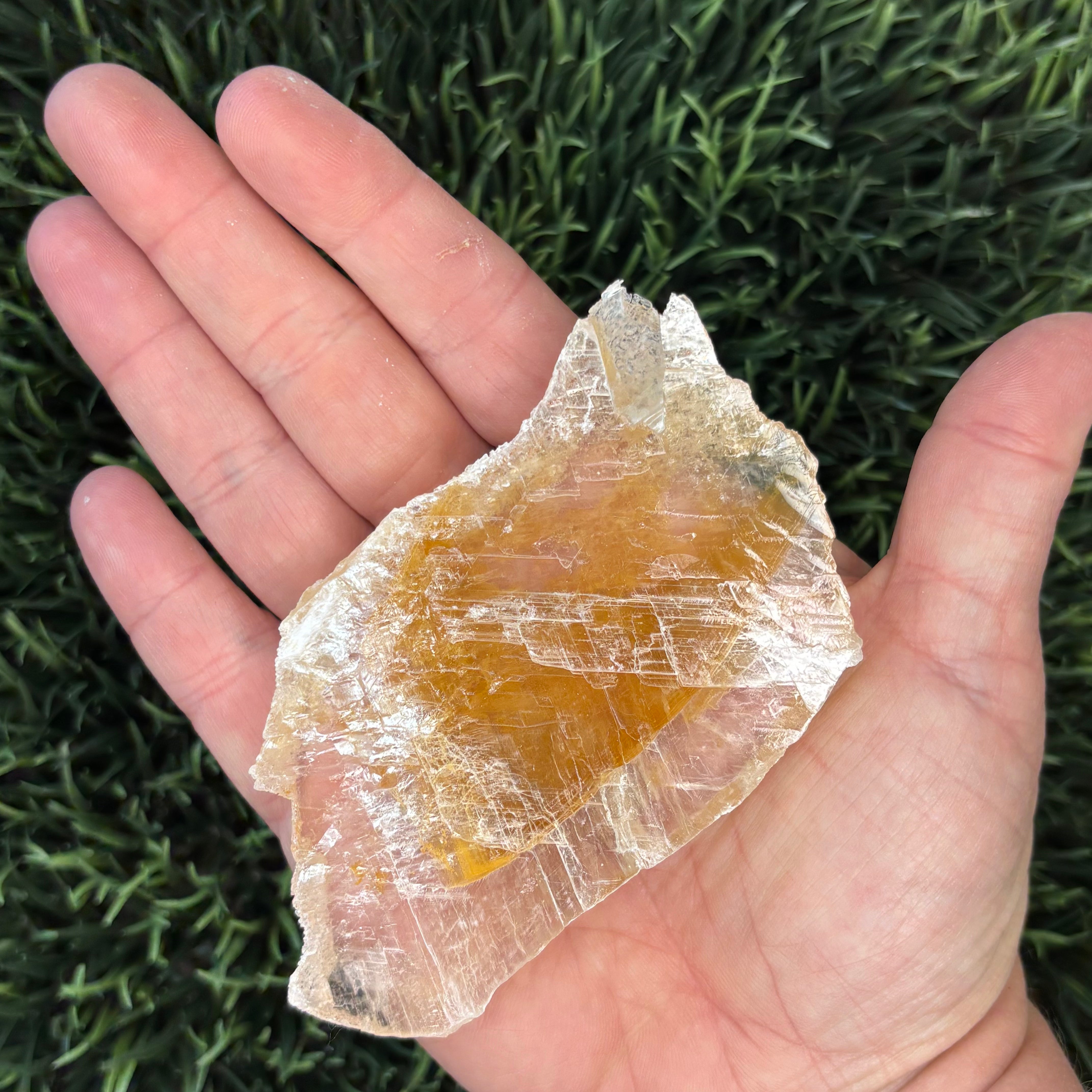Golden Selenite Window - 611