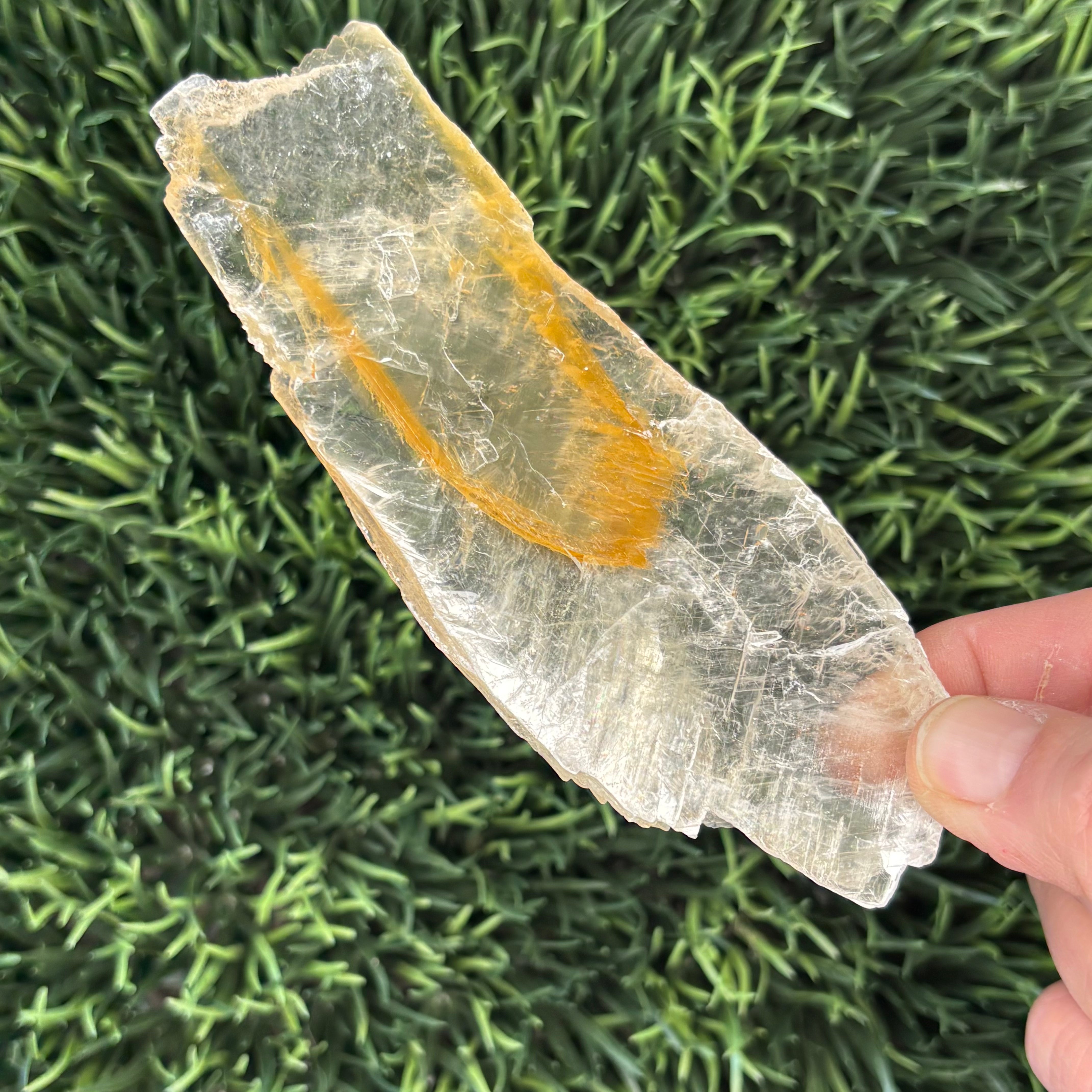 Golden Selenite Window - 612