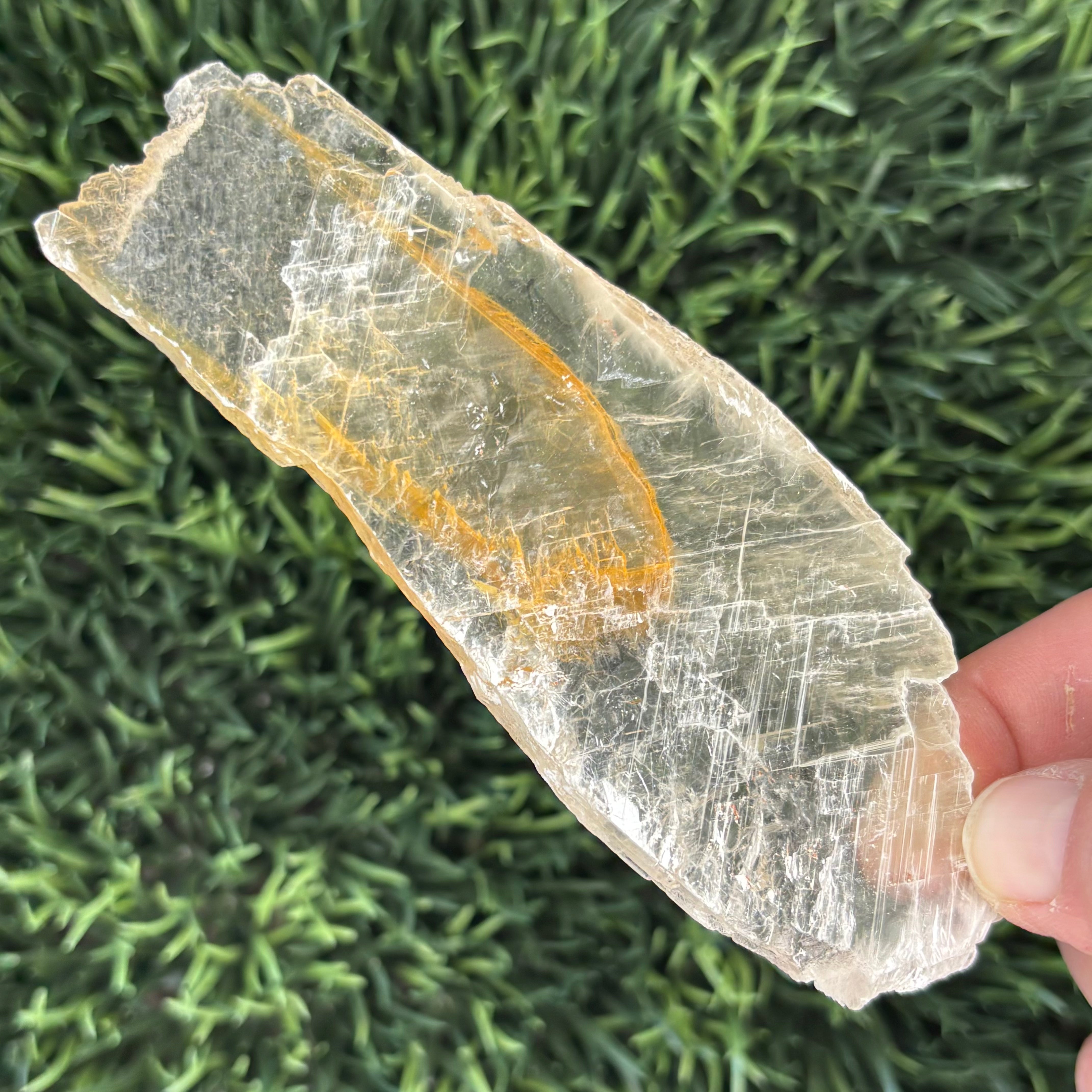 Golden Selenite Window - 612