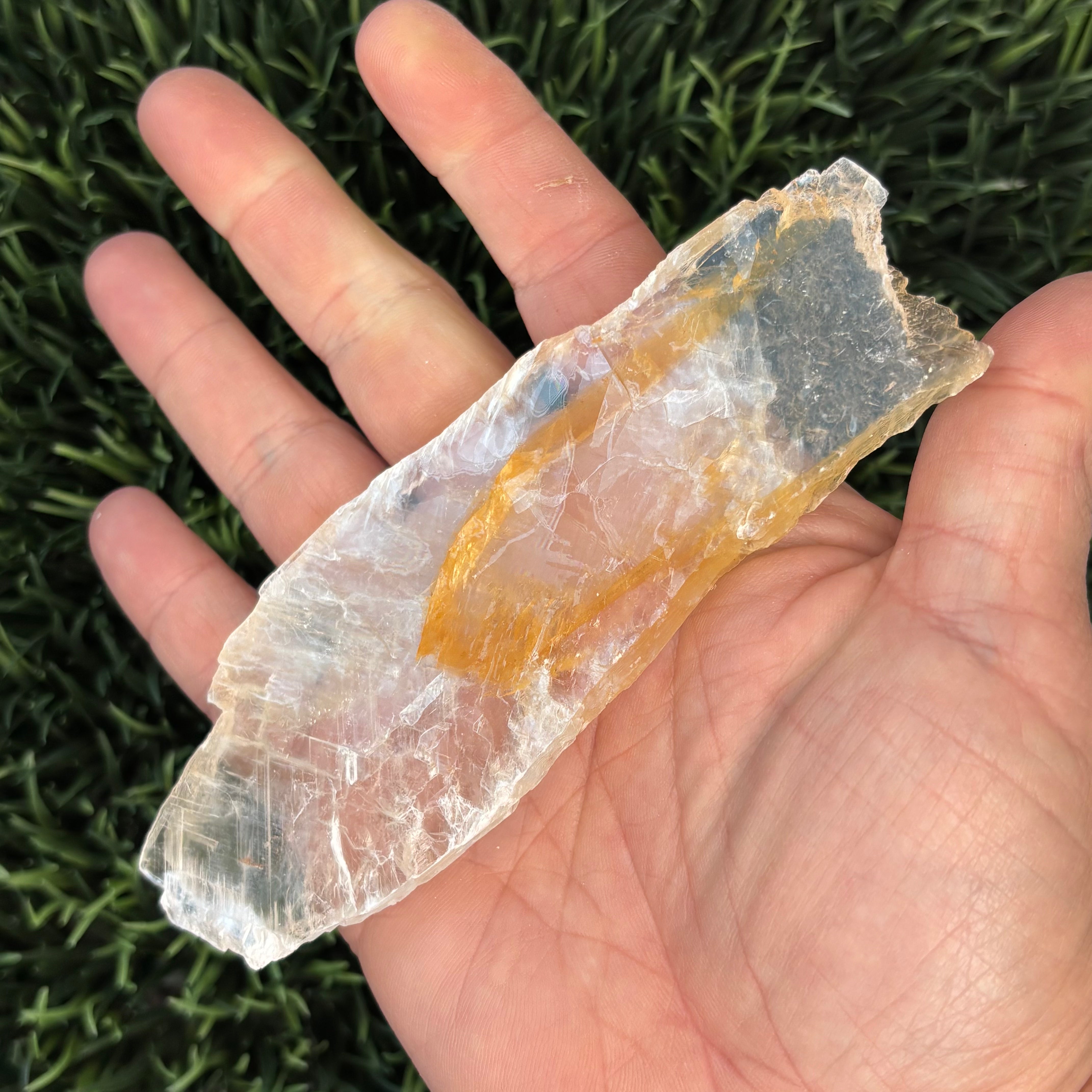 Golden Selenite Window - 612