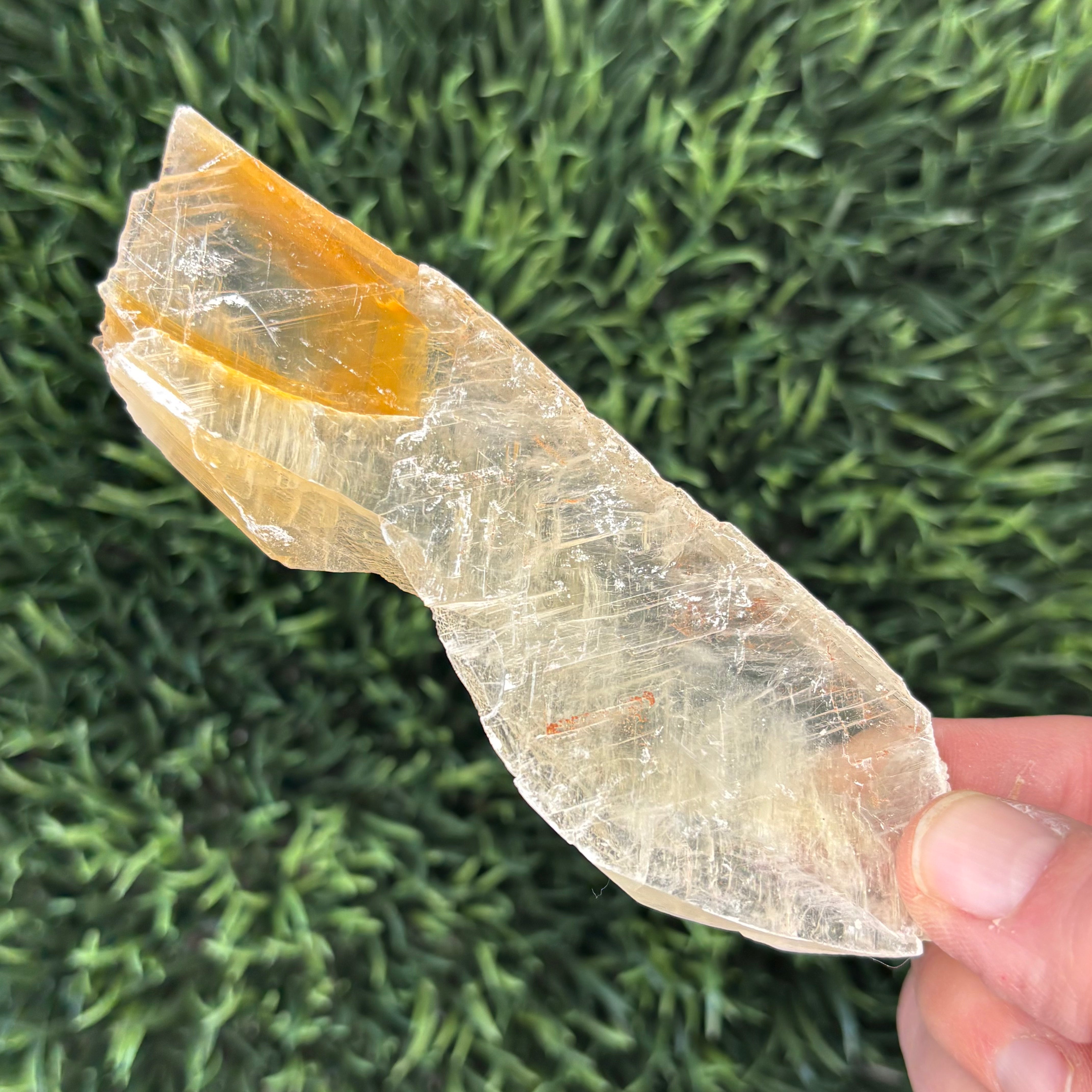 Golden Selenite Window - 613