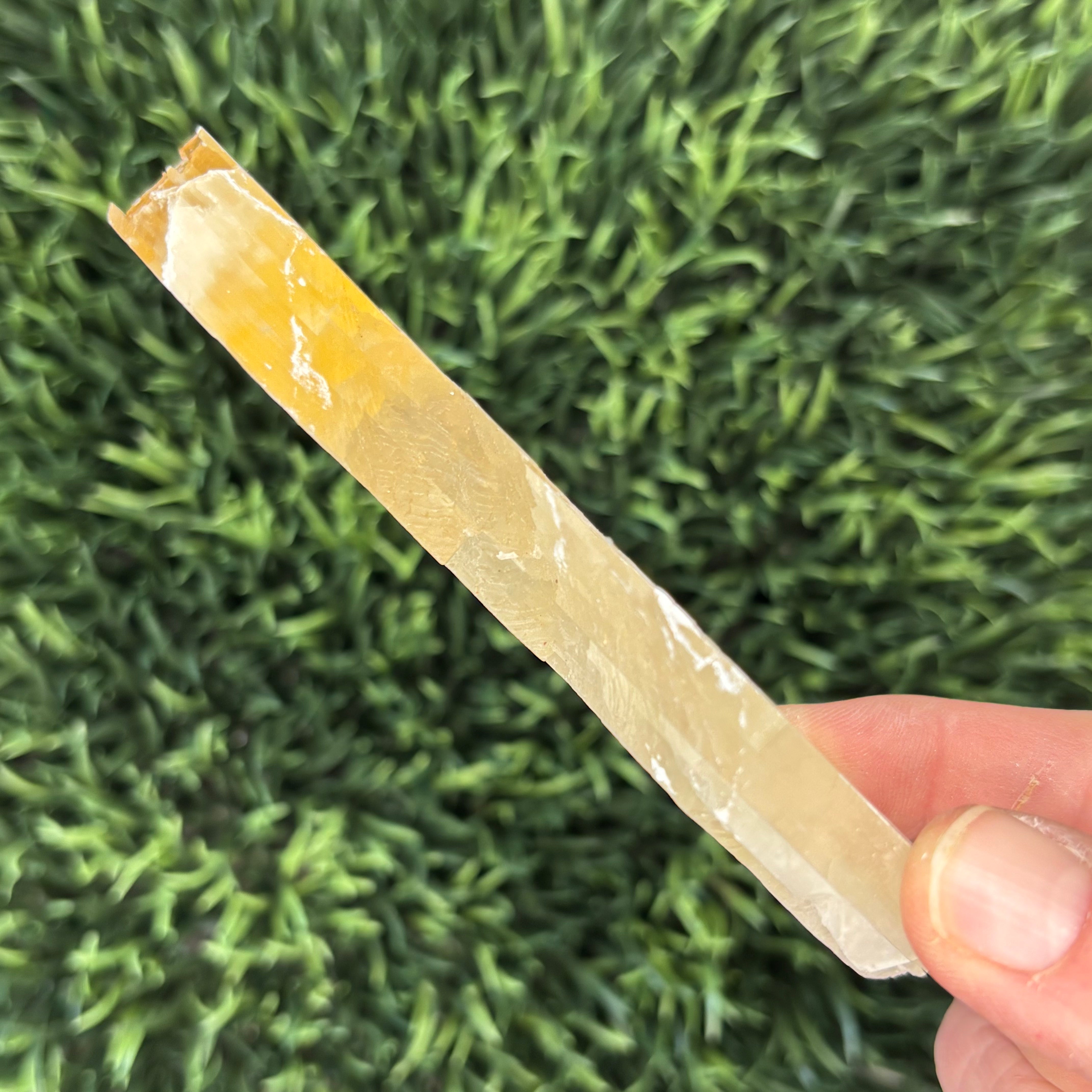 Golden Selenite Window - 613