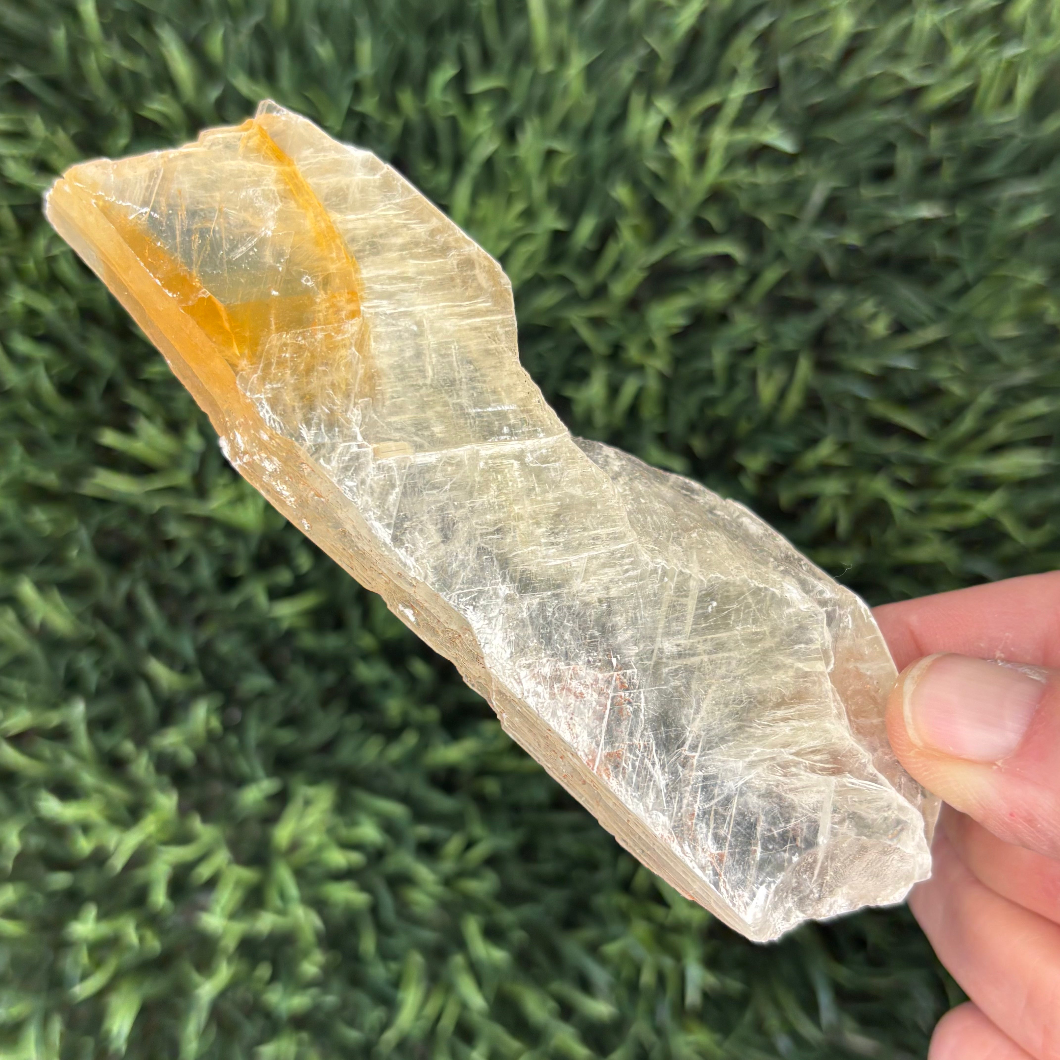 Golden Selenite Window - 613
