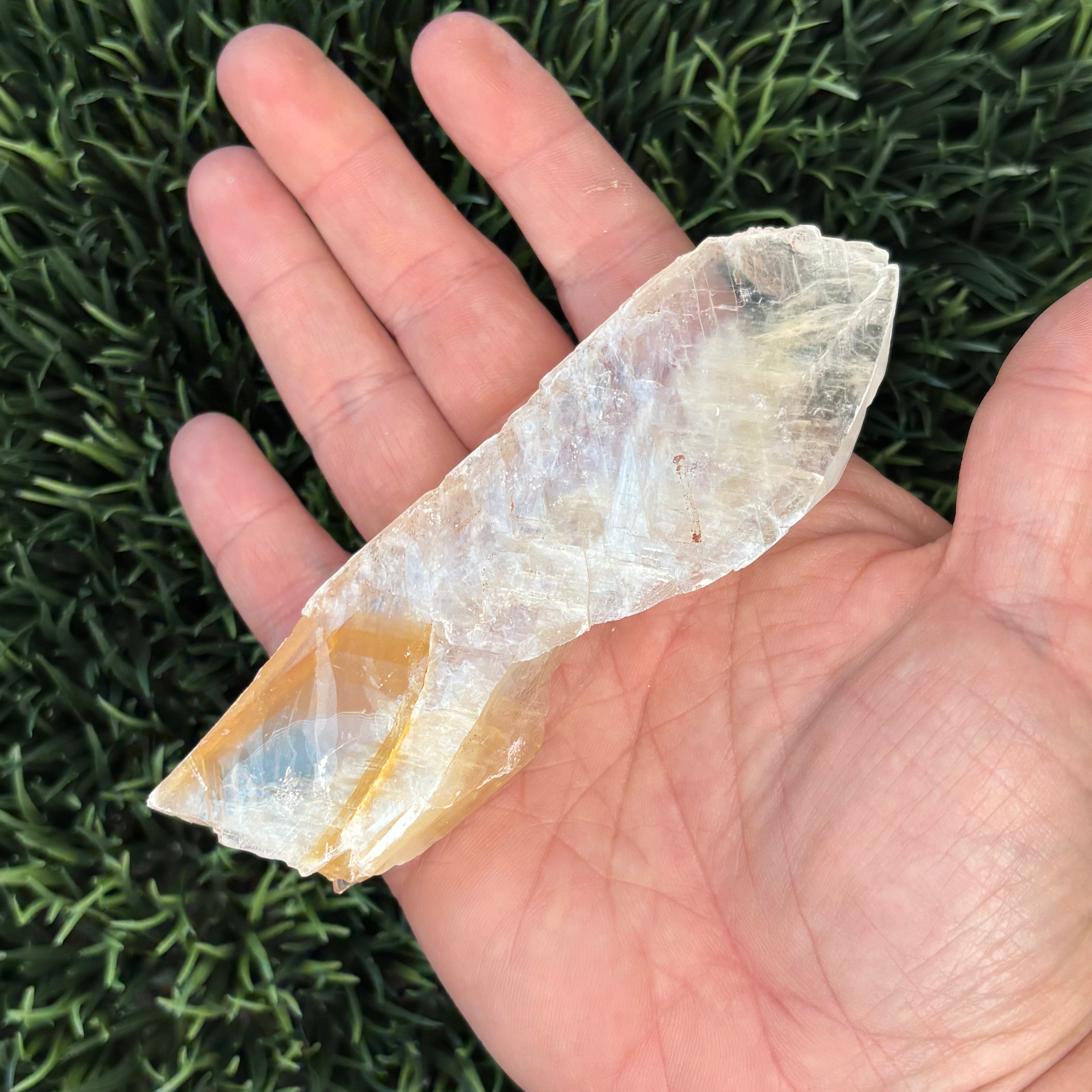 Golden Selenite Window - 613