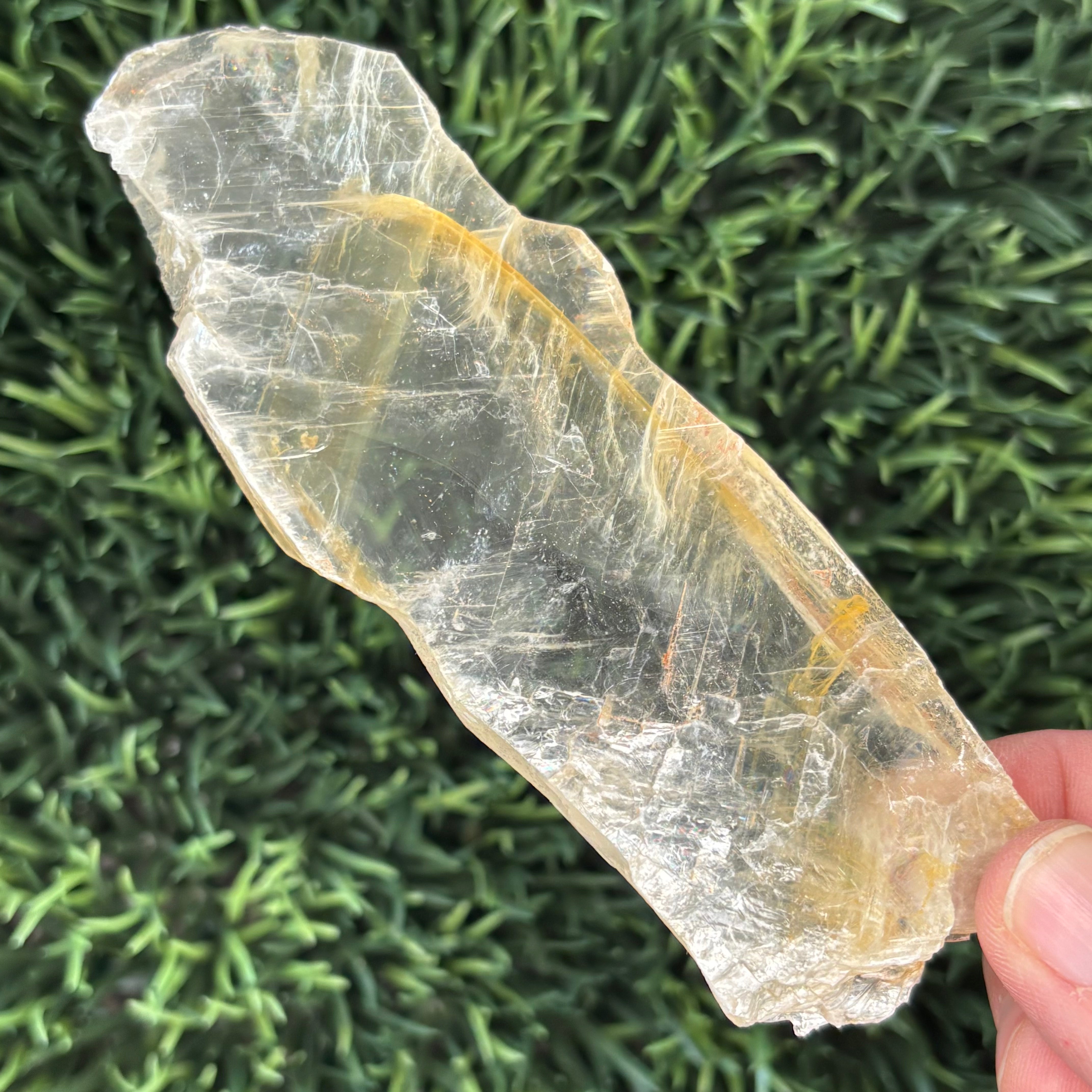 Golden Selenite Window - 615