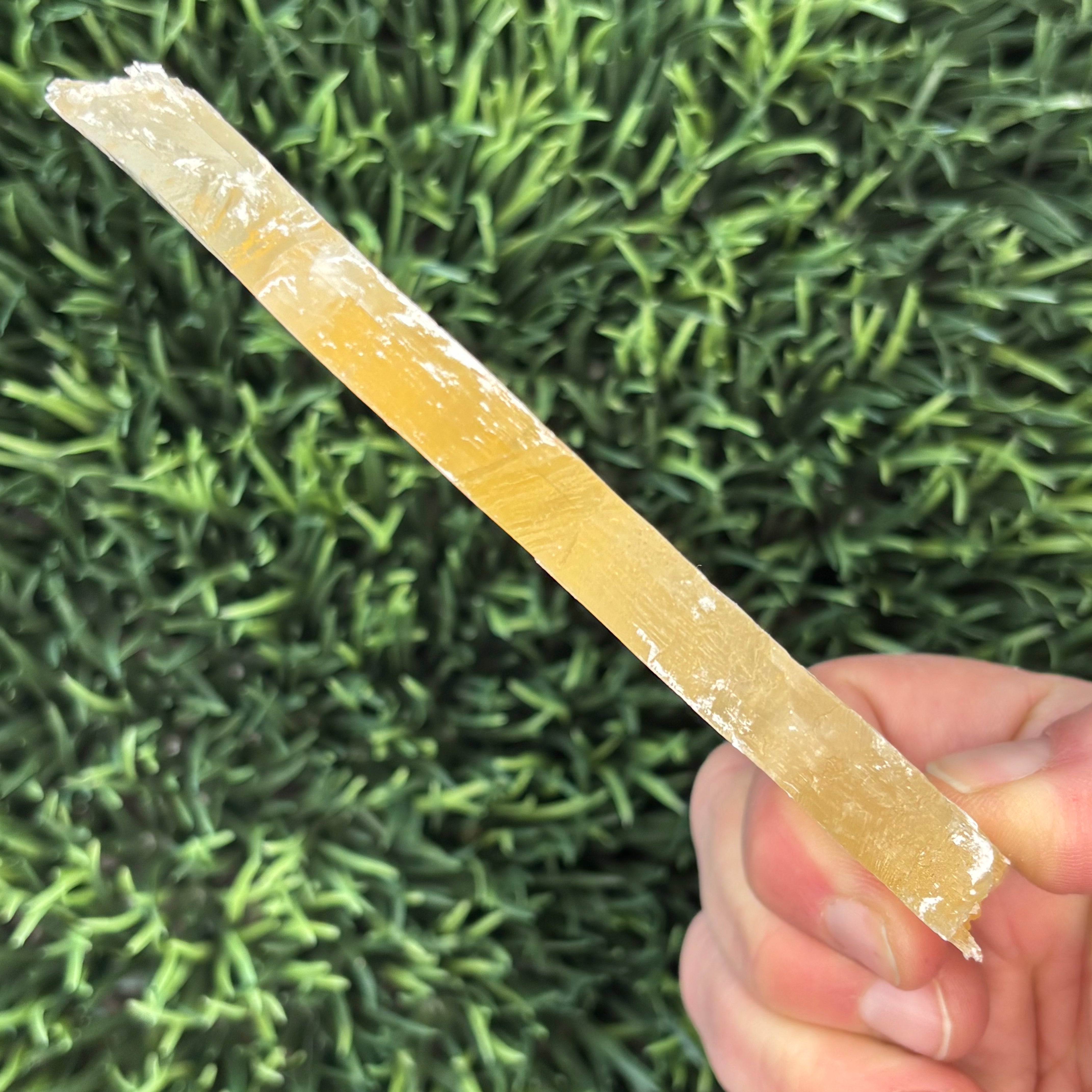 Golden Selenite Window - 615