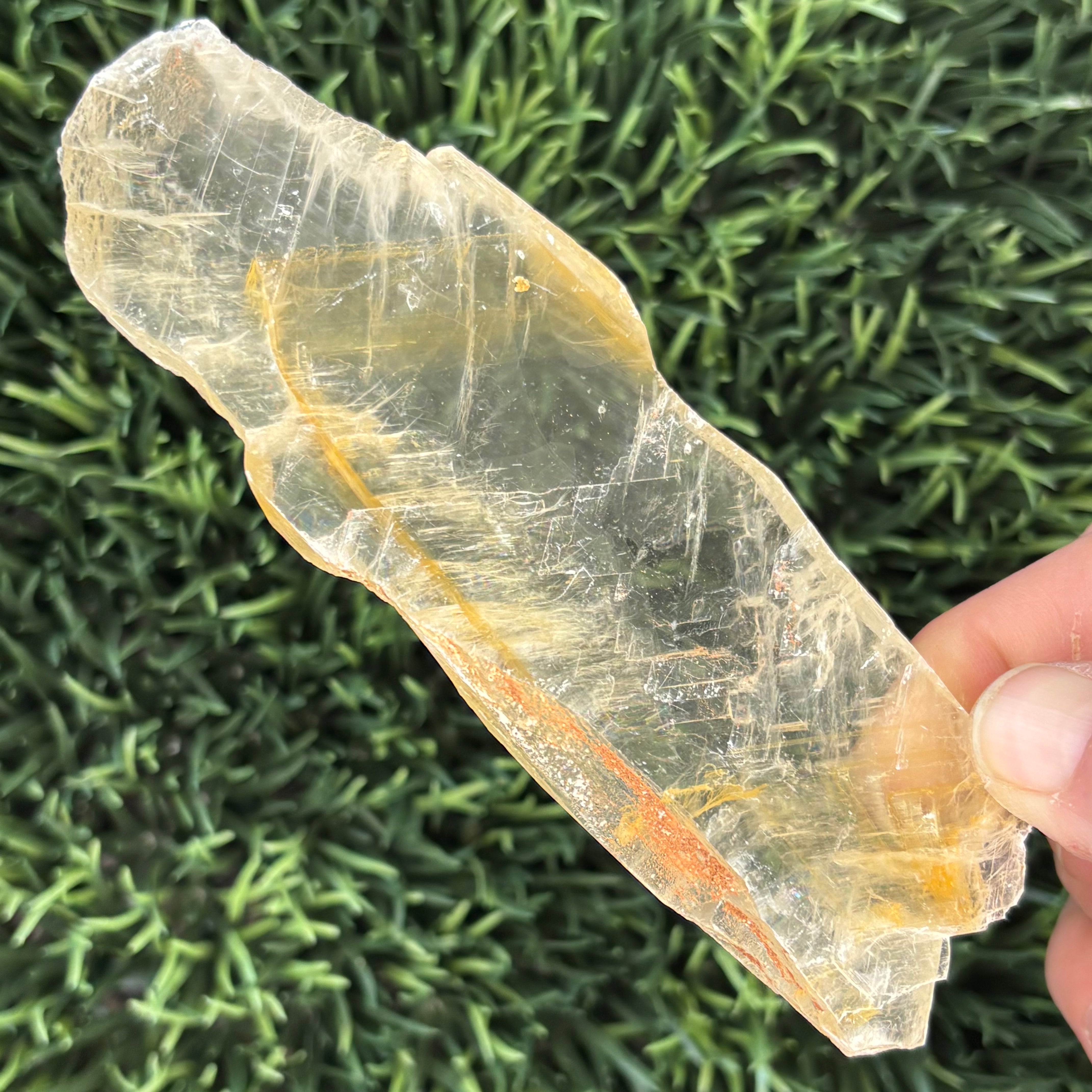 Golden Selenite Window - 615