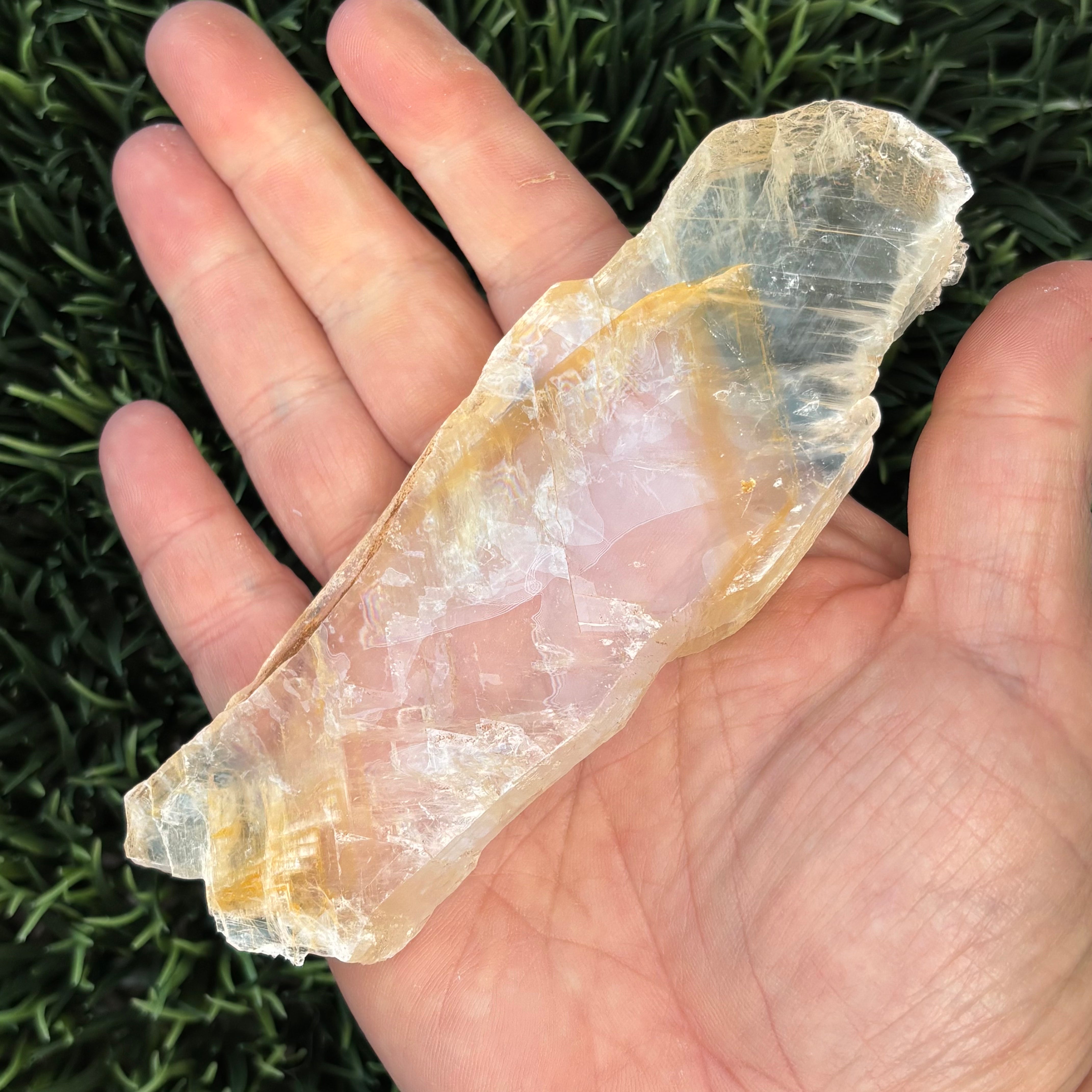 Golden Selenite Window - 615