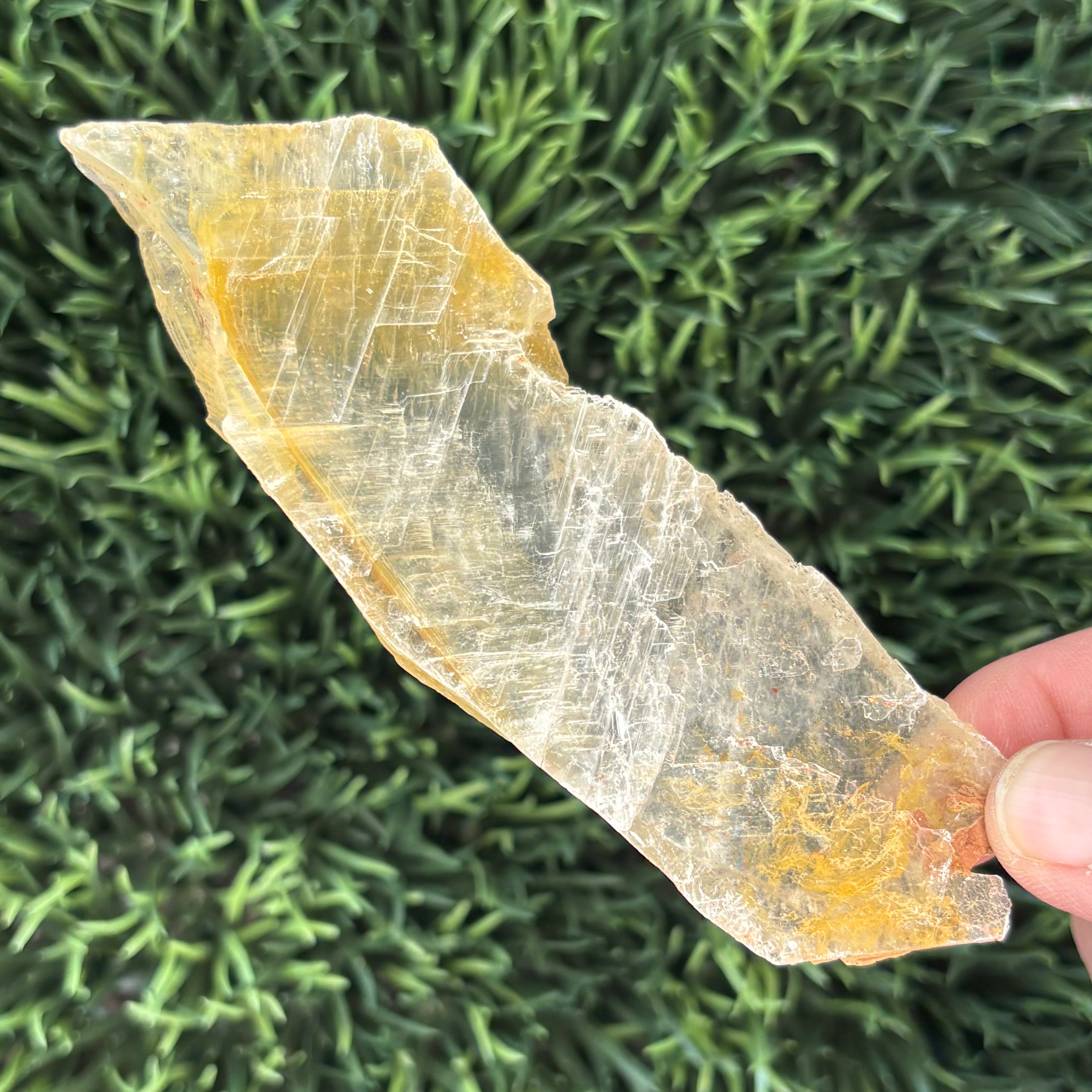 Golden Selenite Window - 616