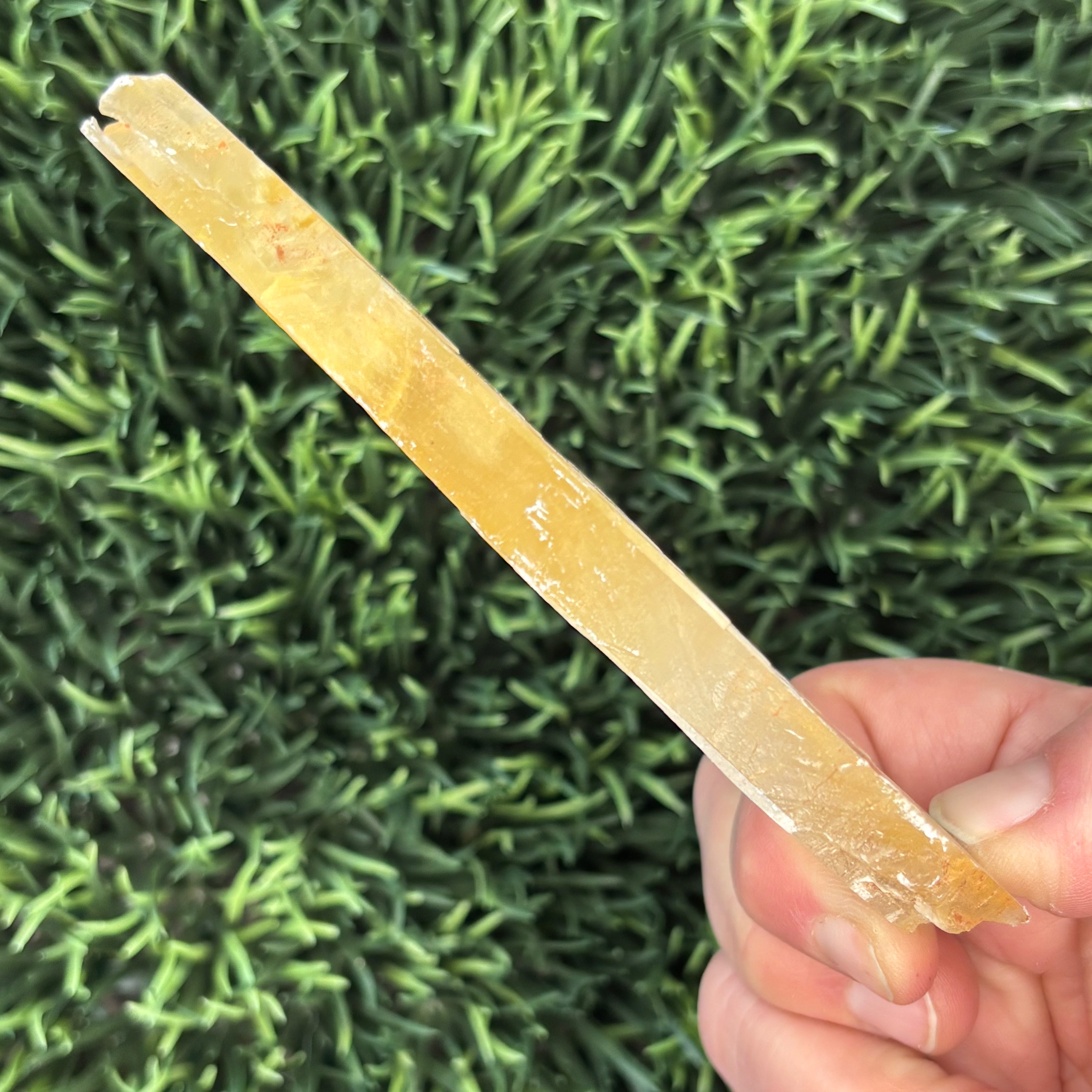 Golden Selenite Window - 616