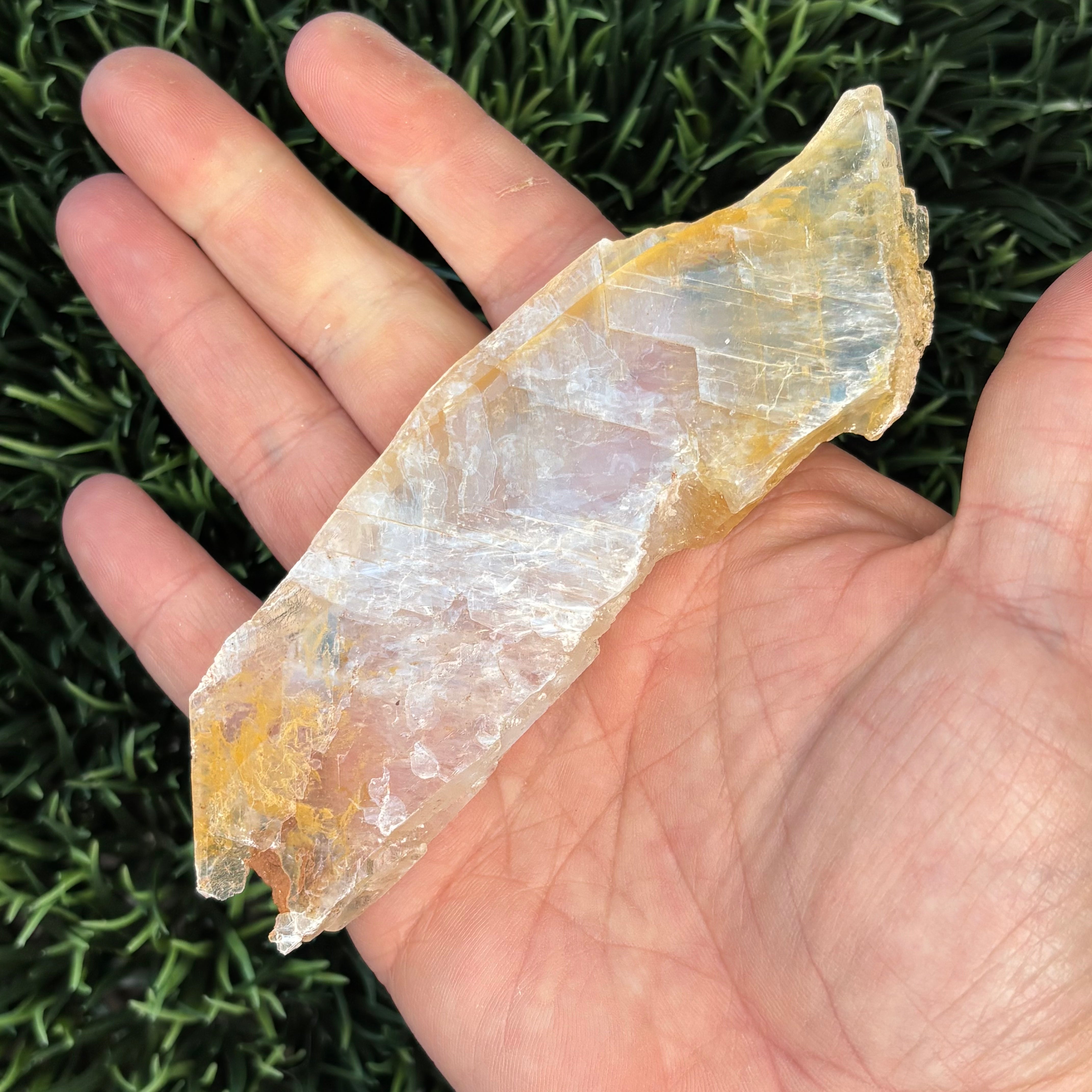 Golden Selenite Window - 616