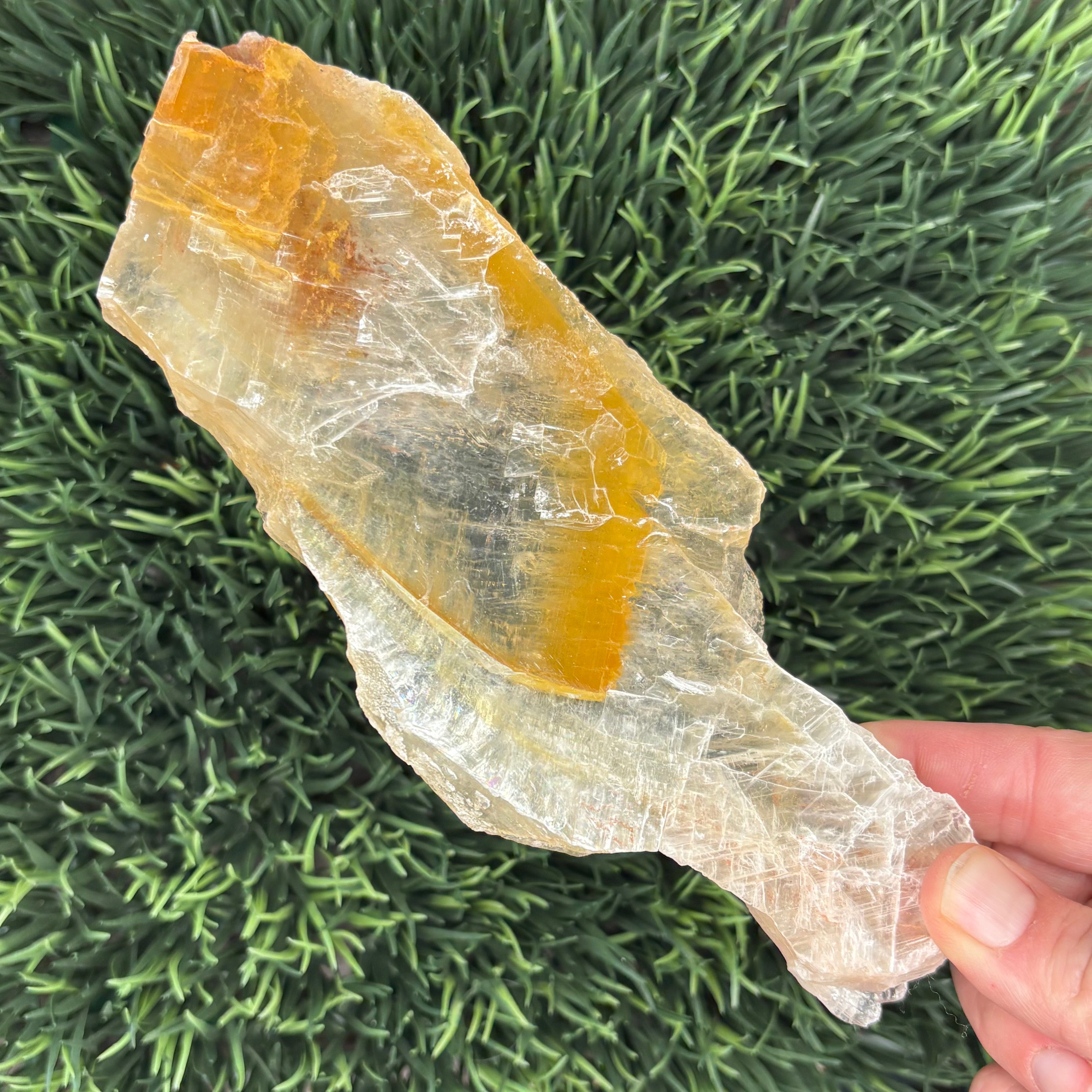 Golden Selenite Window - 617