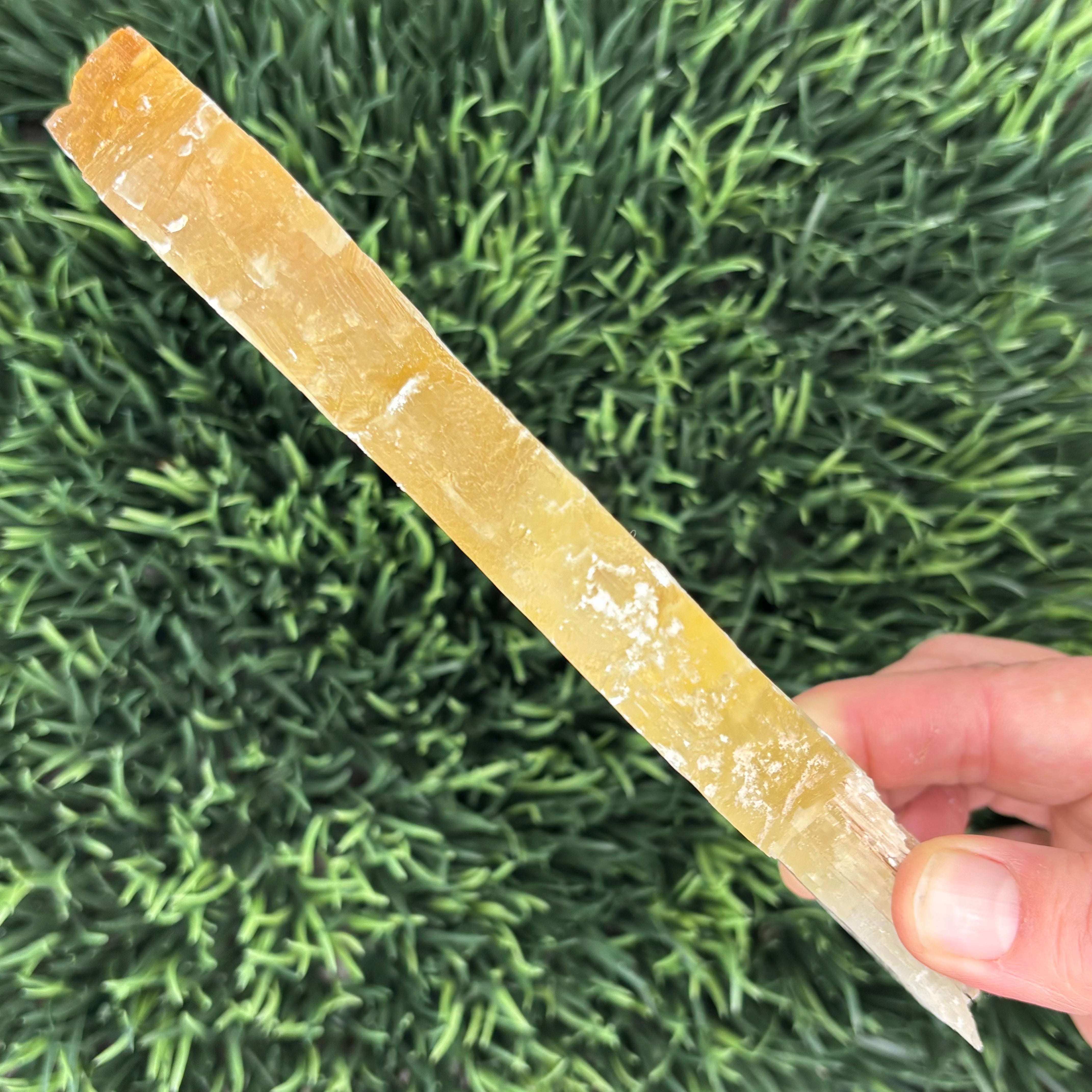 Golden Selenite Window - 617