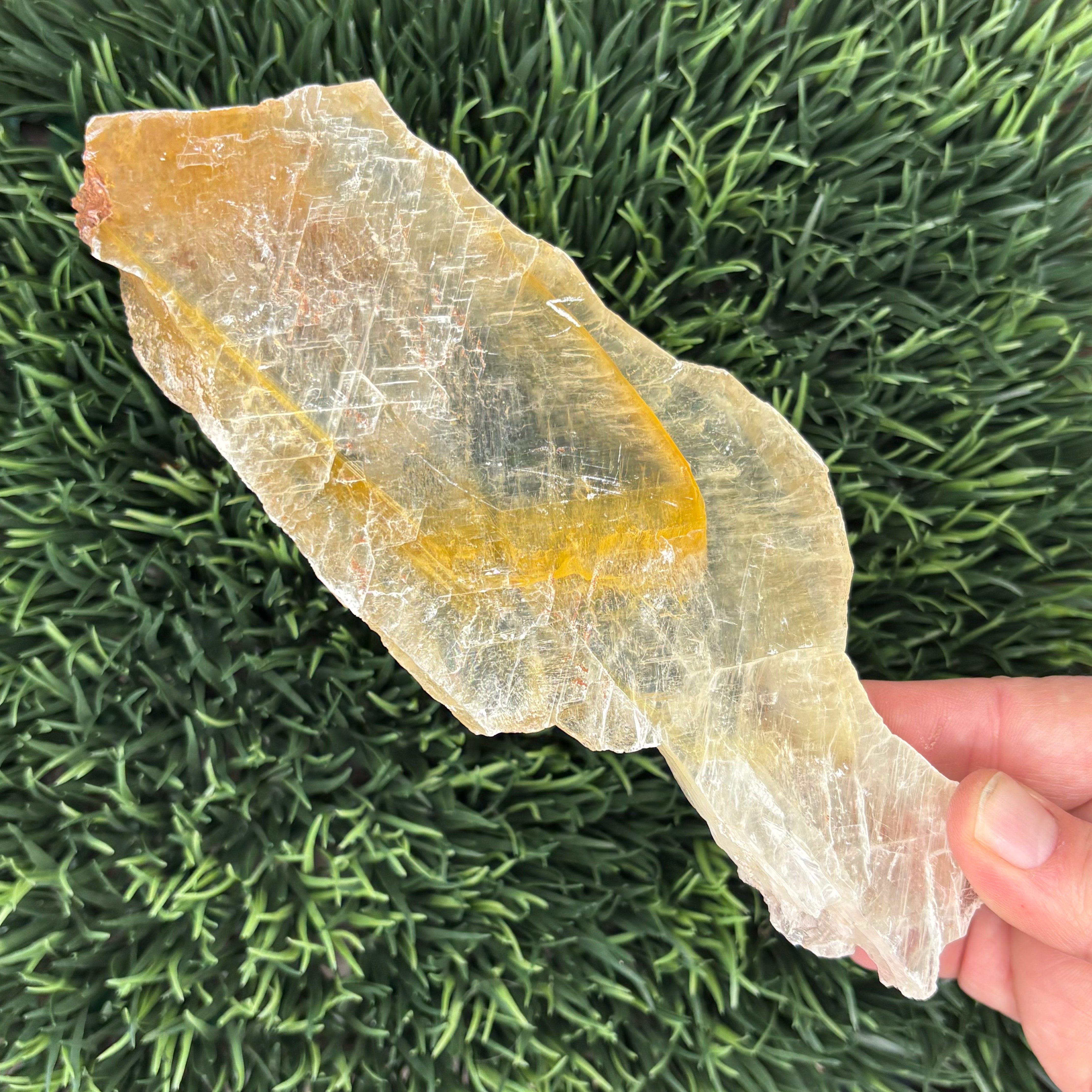 Golden Selenite Window - 617