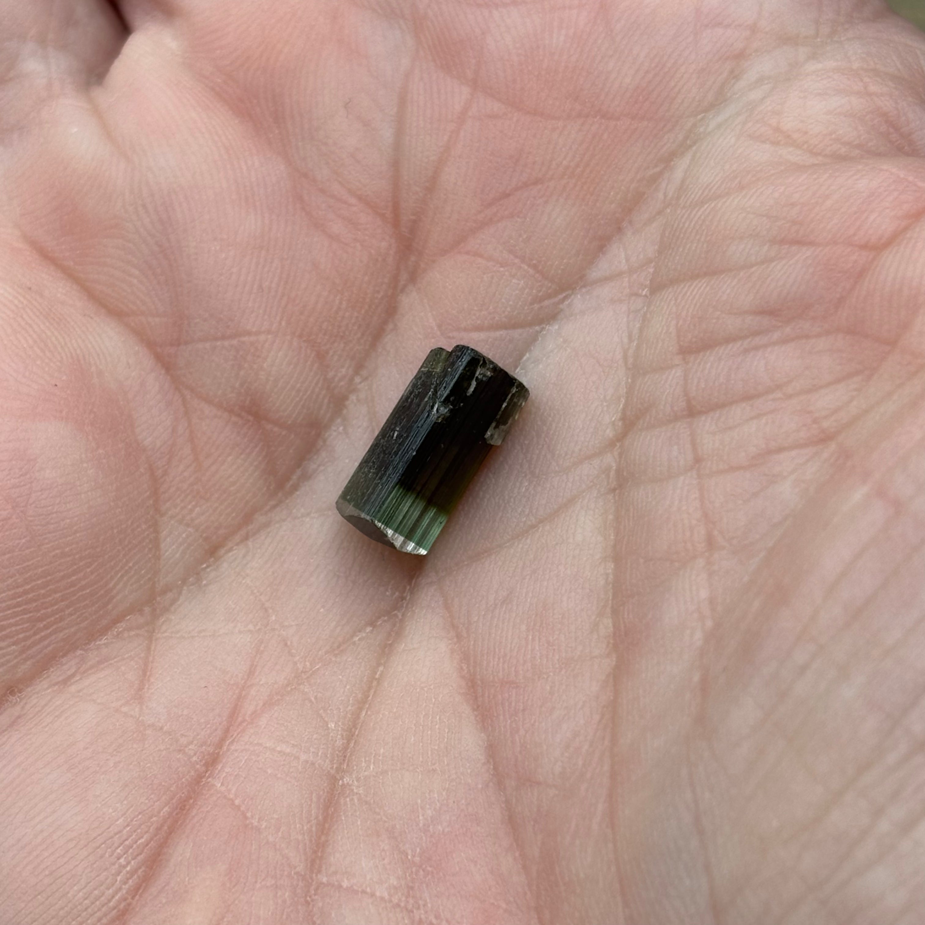 Green Tourmaline Crystal - 225
