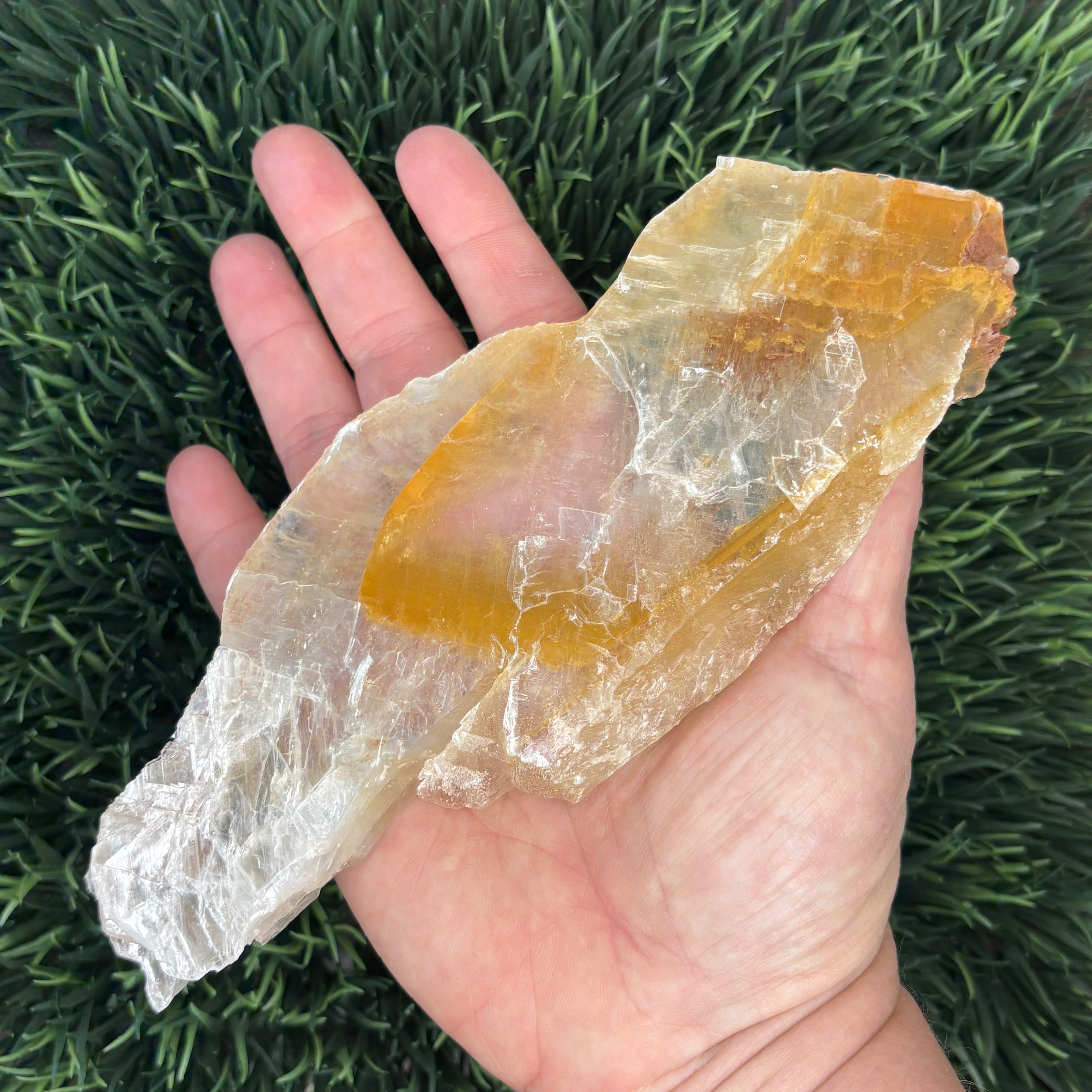 Golden Selenite Window - 617