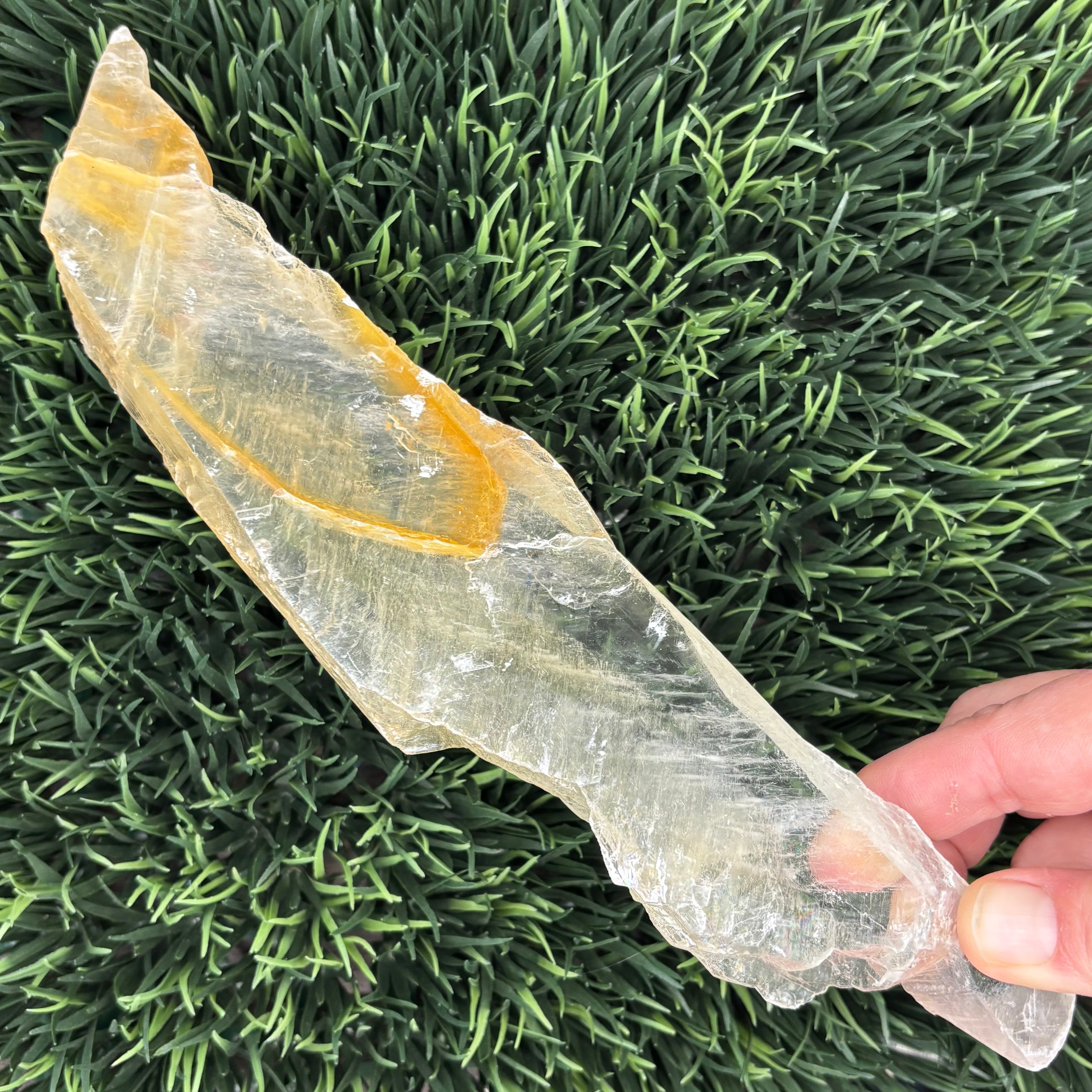 Golden Selenite Window - 618