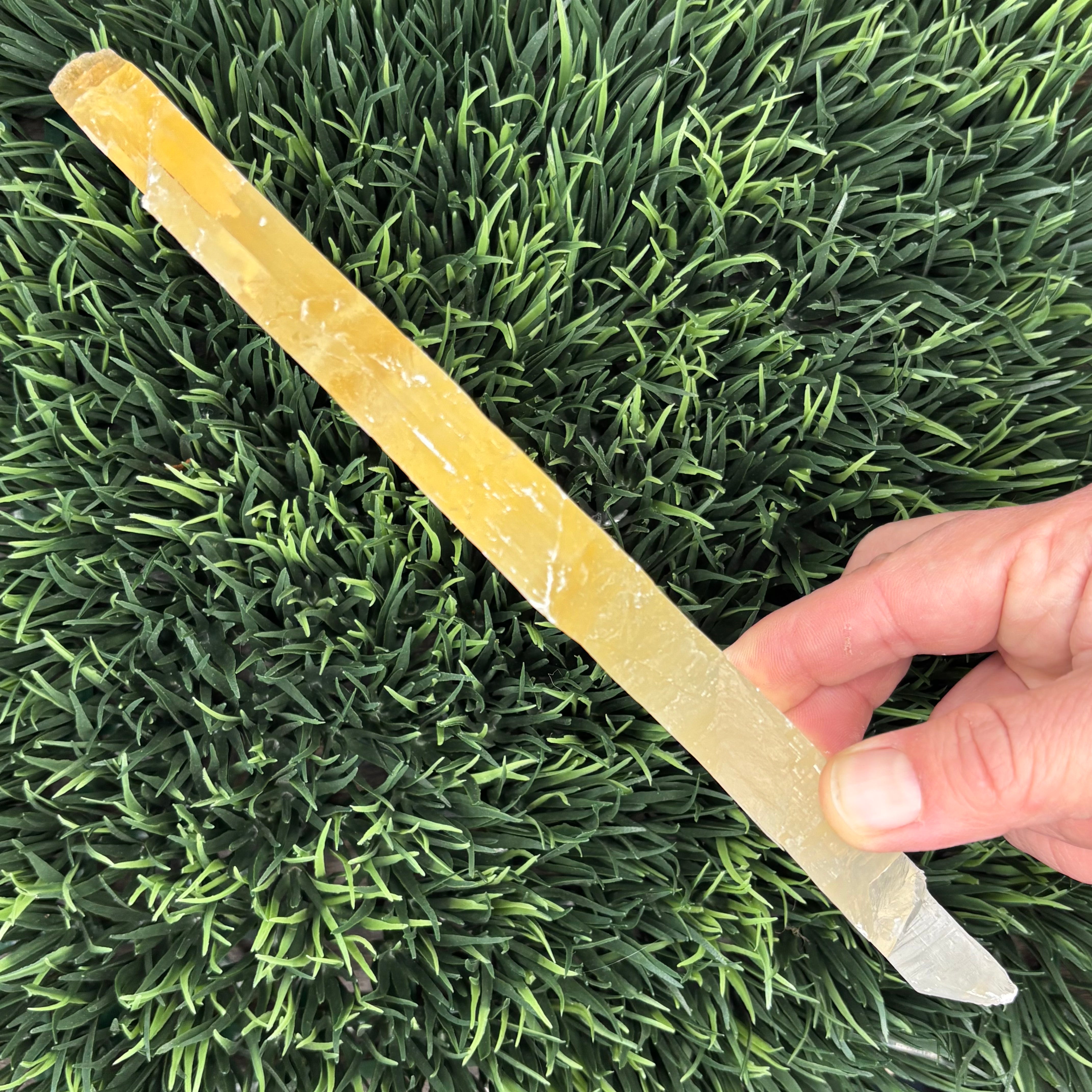 Golden Selenite Window - 618