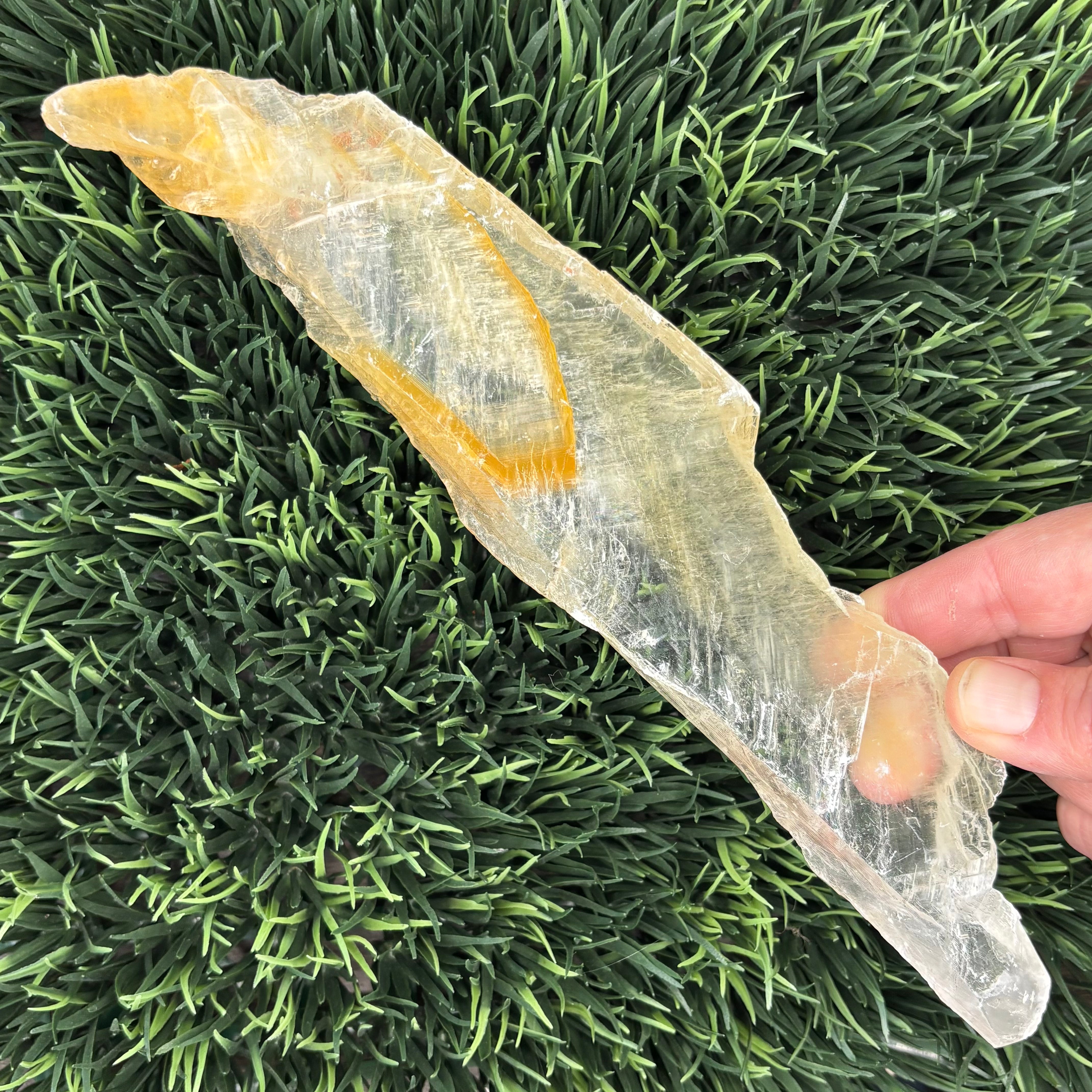 Golden Selenite Window - 618