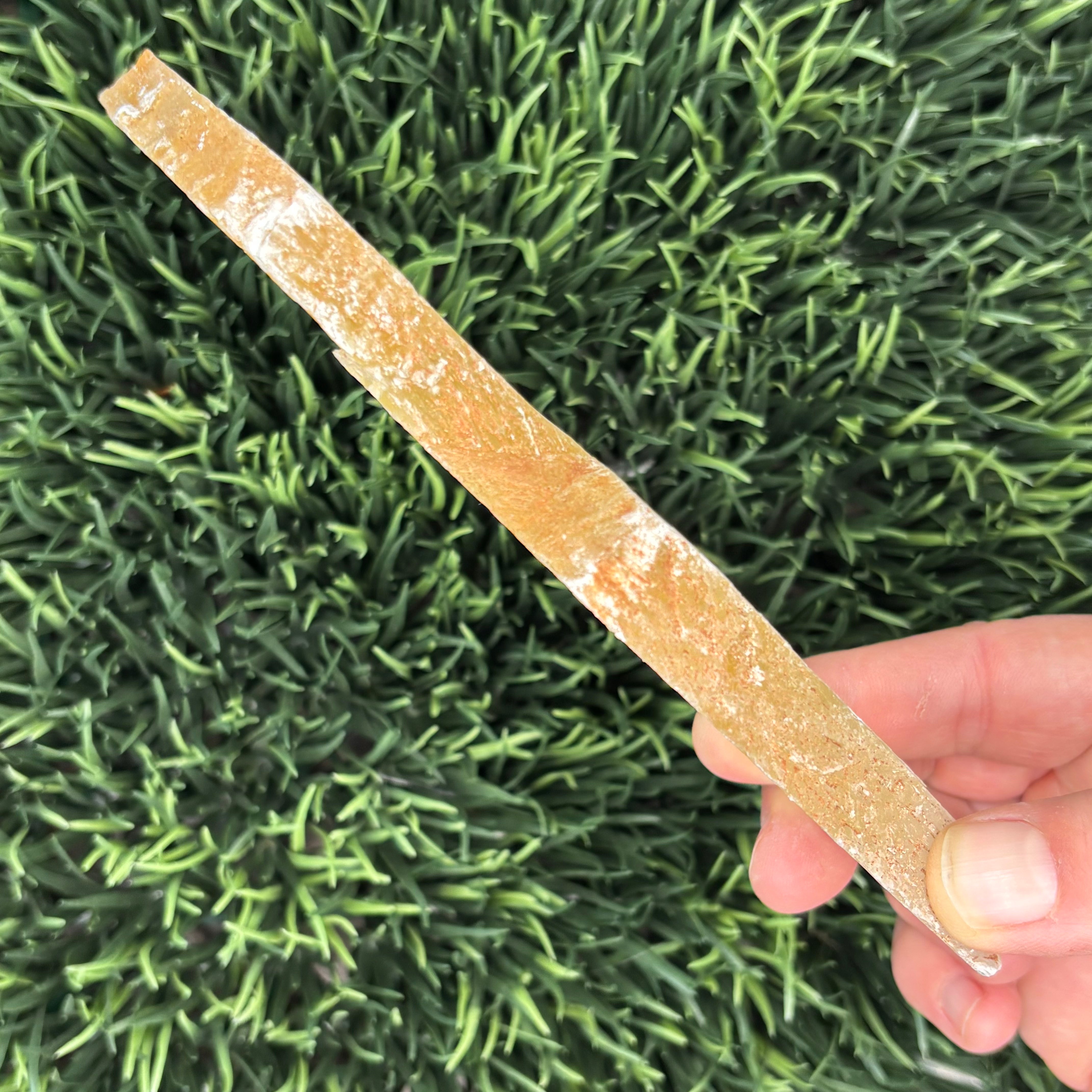 Golden Selenite Window - 620