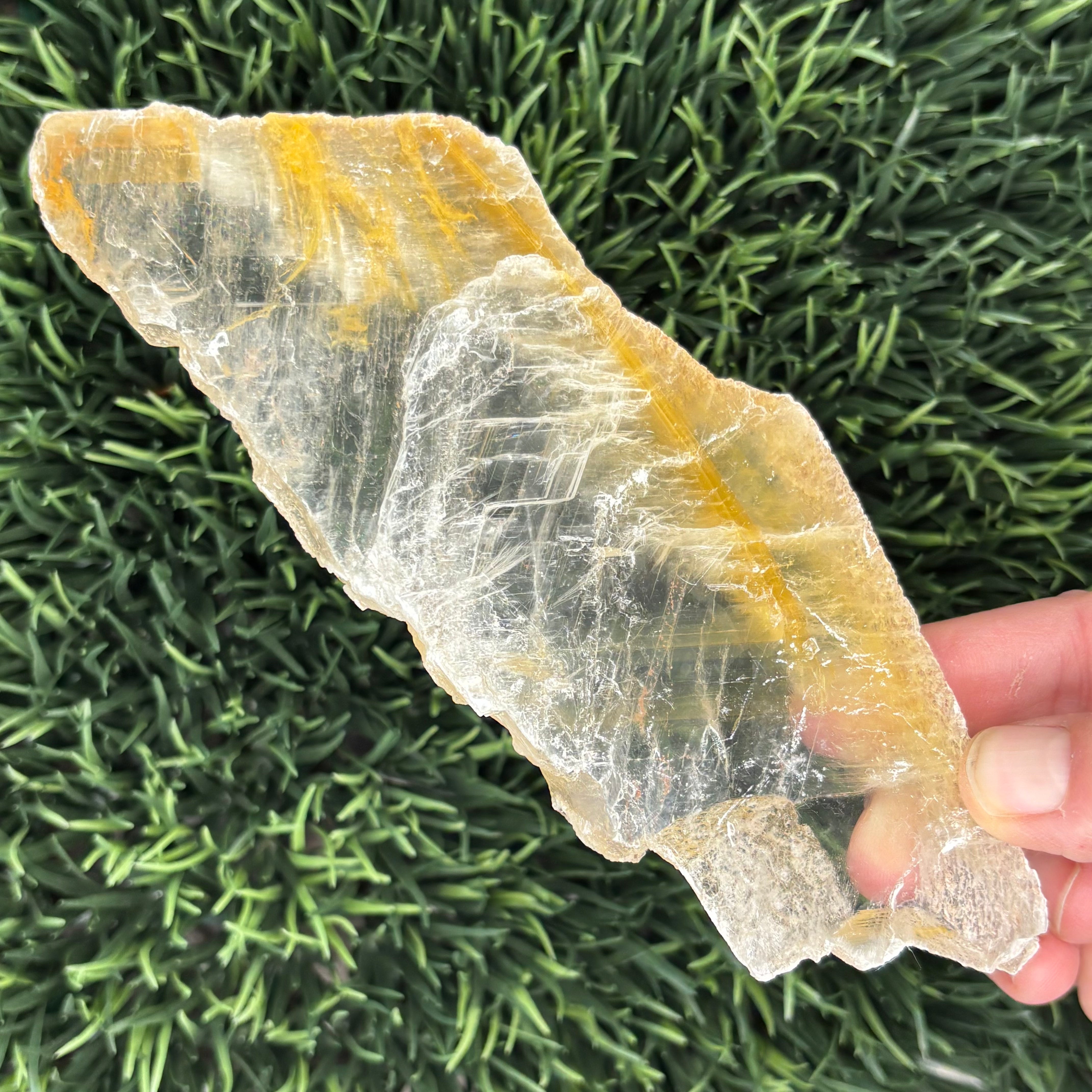 Golden Selenite Window - 620