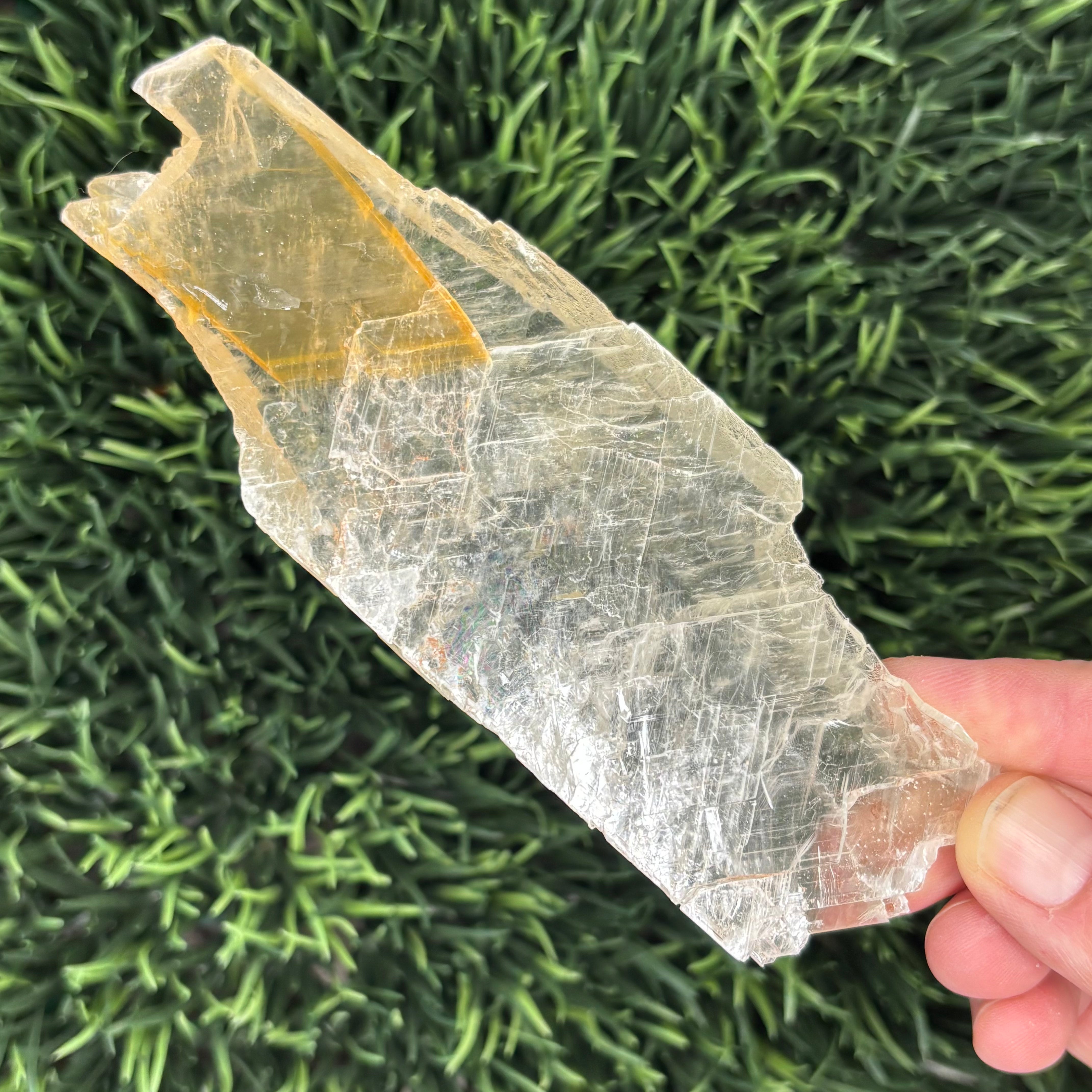 Golden Selenite Window - 621
