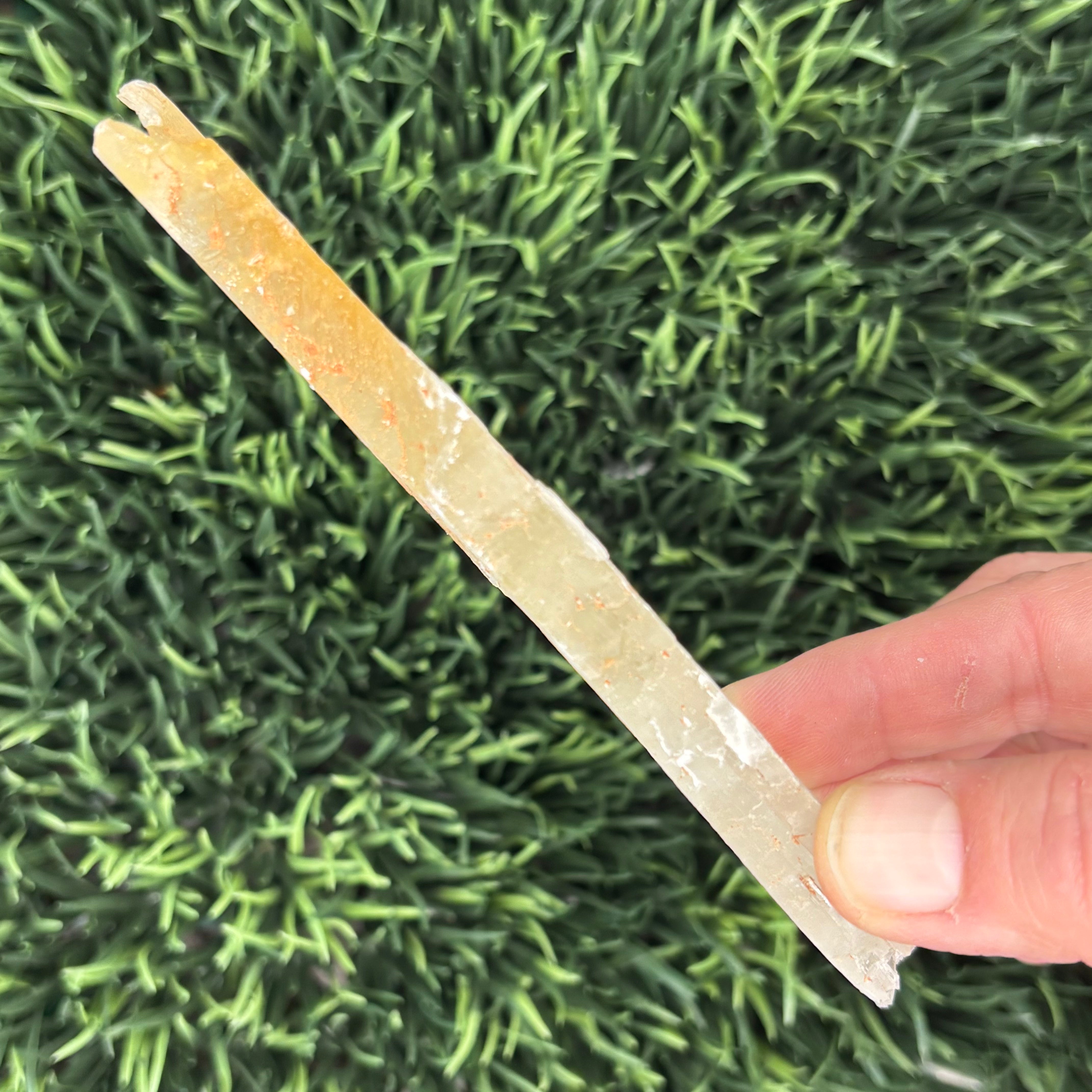 Golden Selenite Window - 621