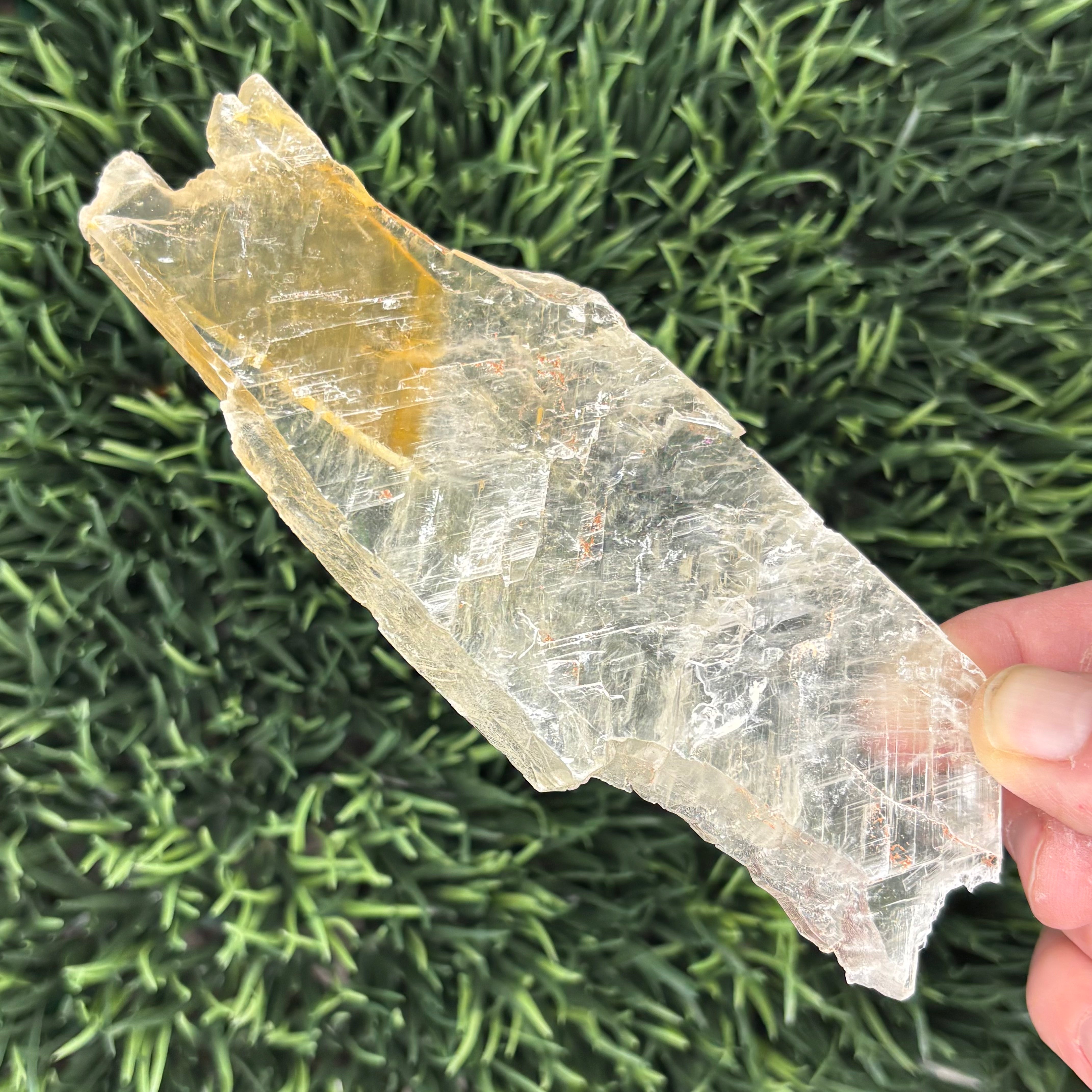 Golden Selenite Window - 621