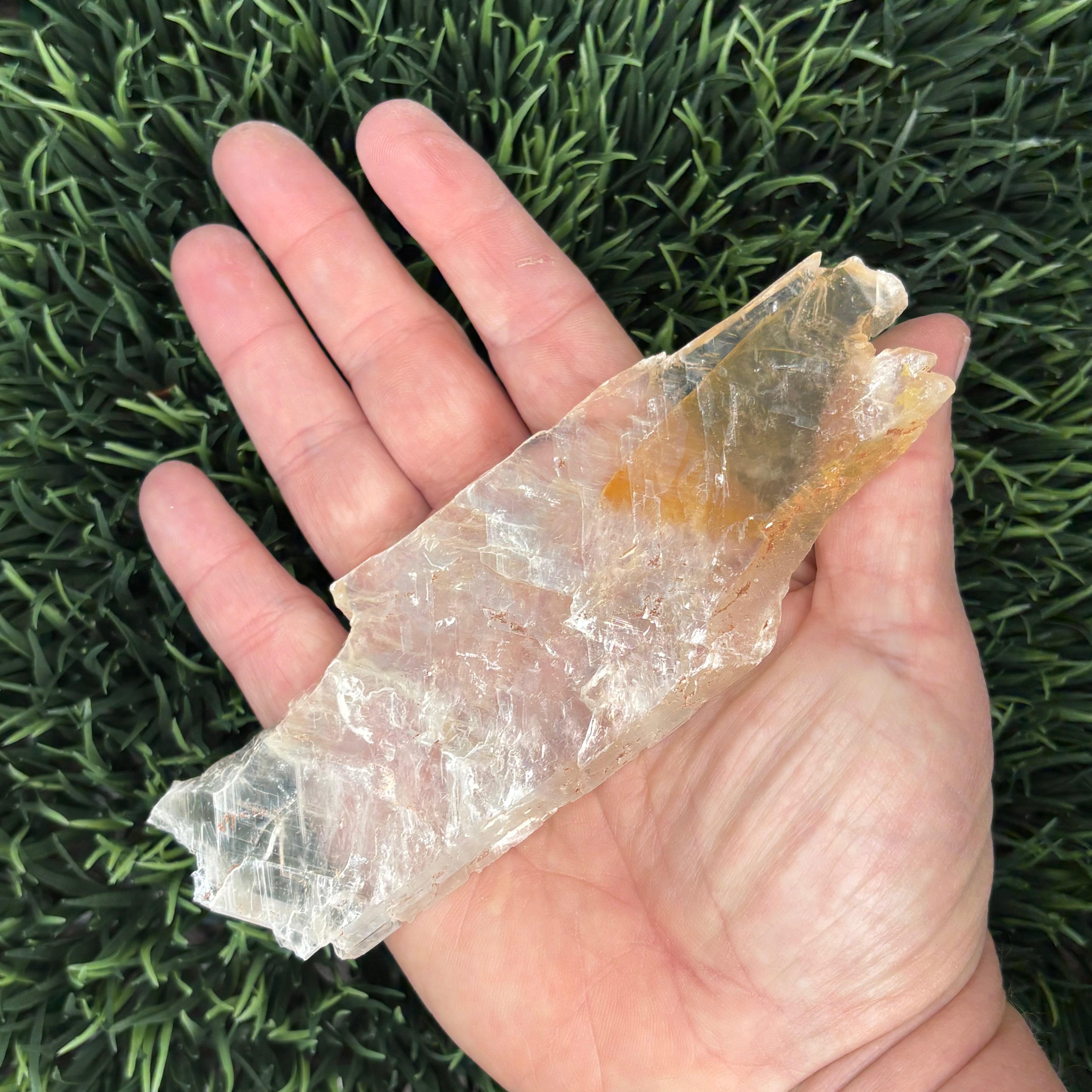 Golden Selenite Window - 621
