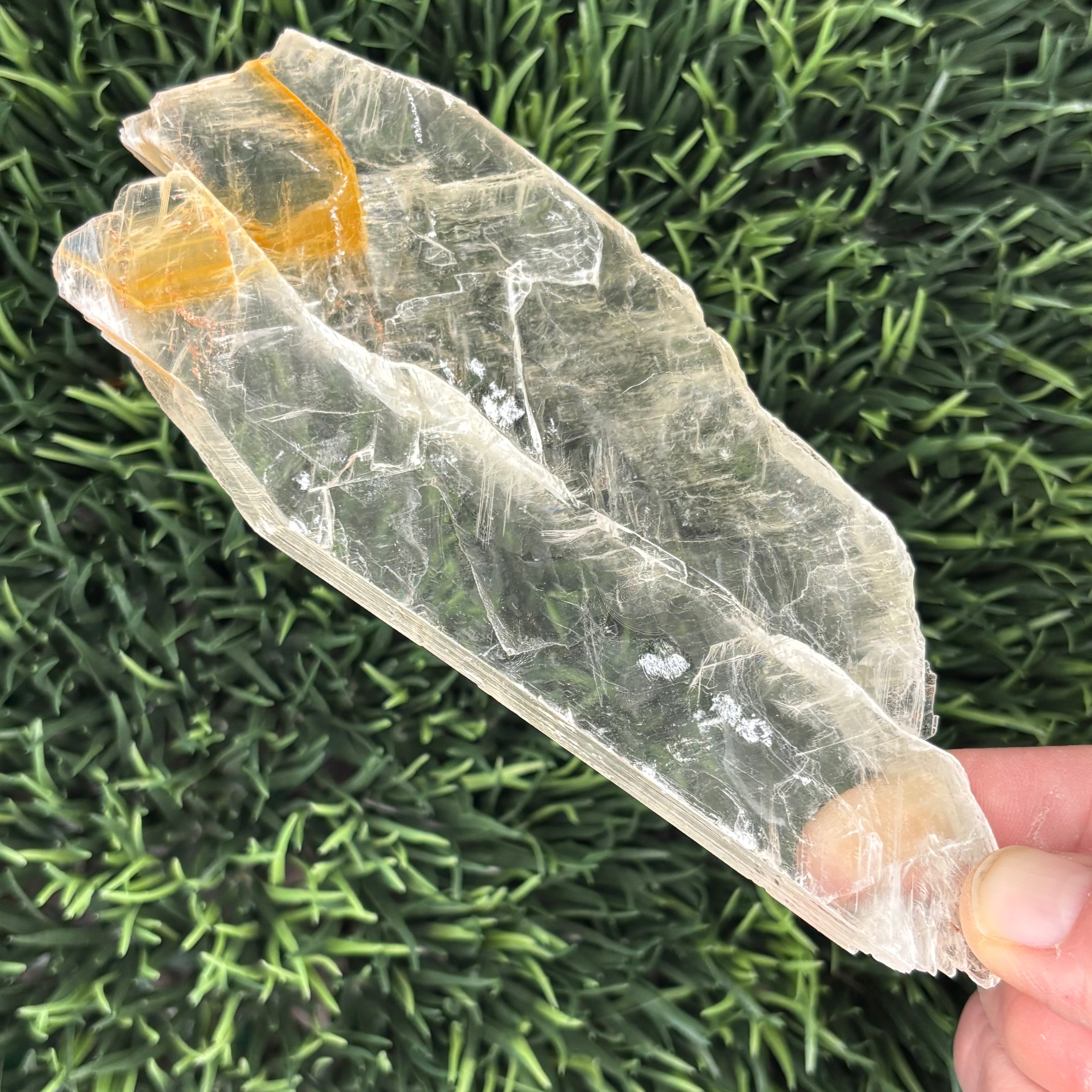Golden Selenite Window - 624