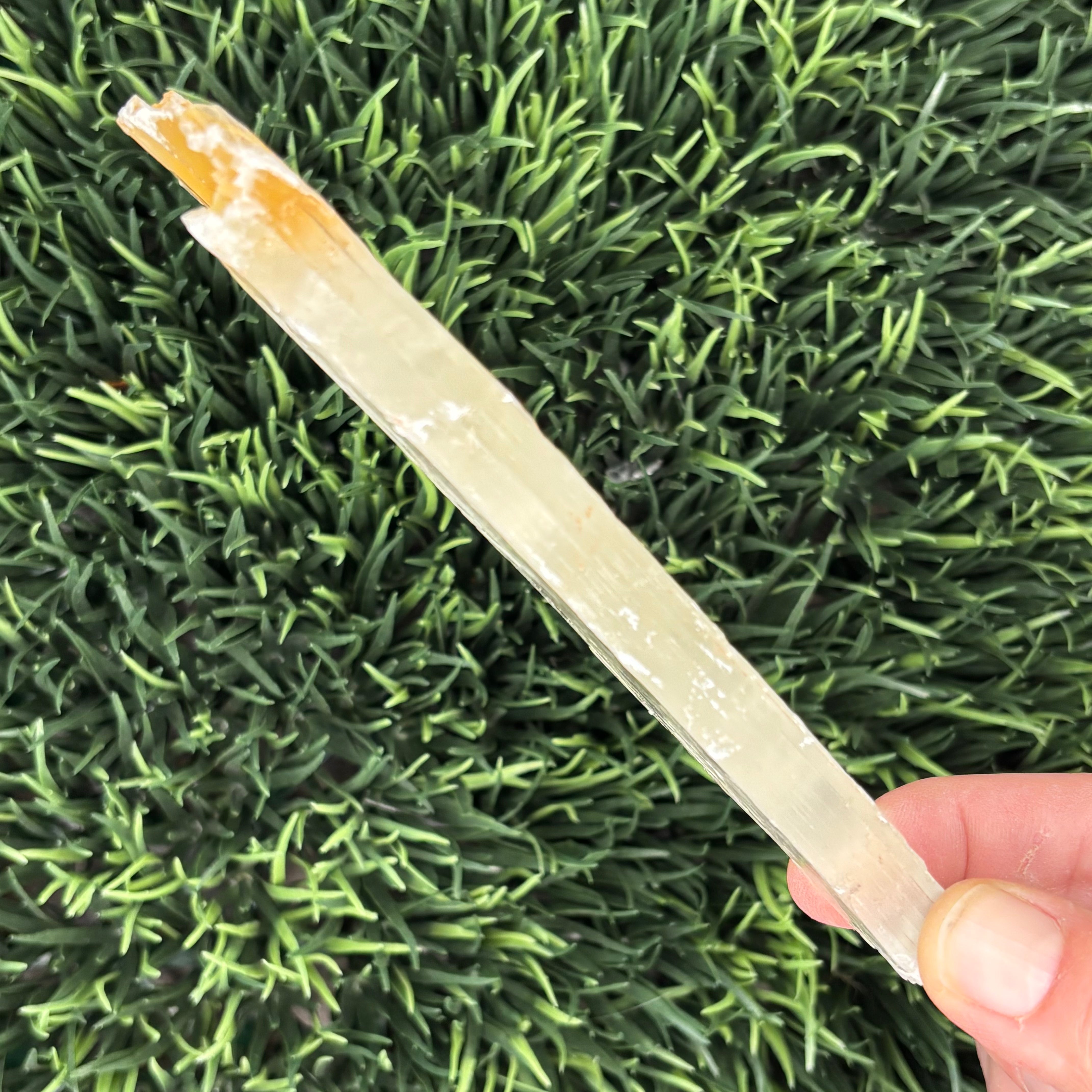 Golden Selenite Window - 624