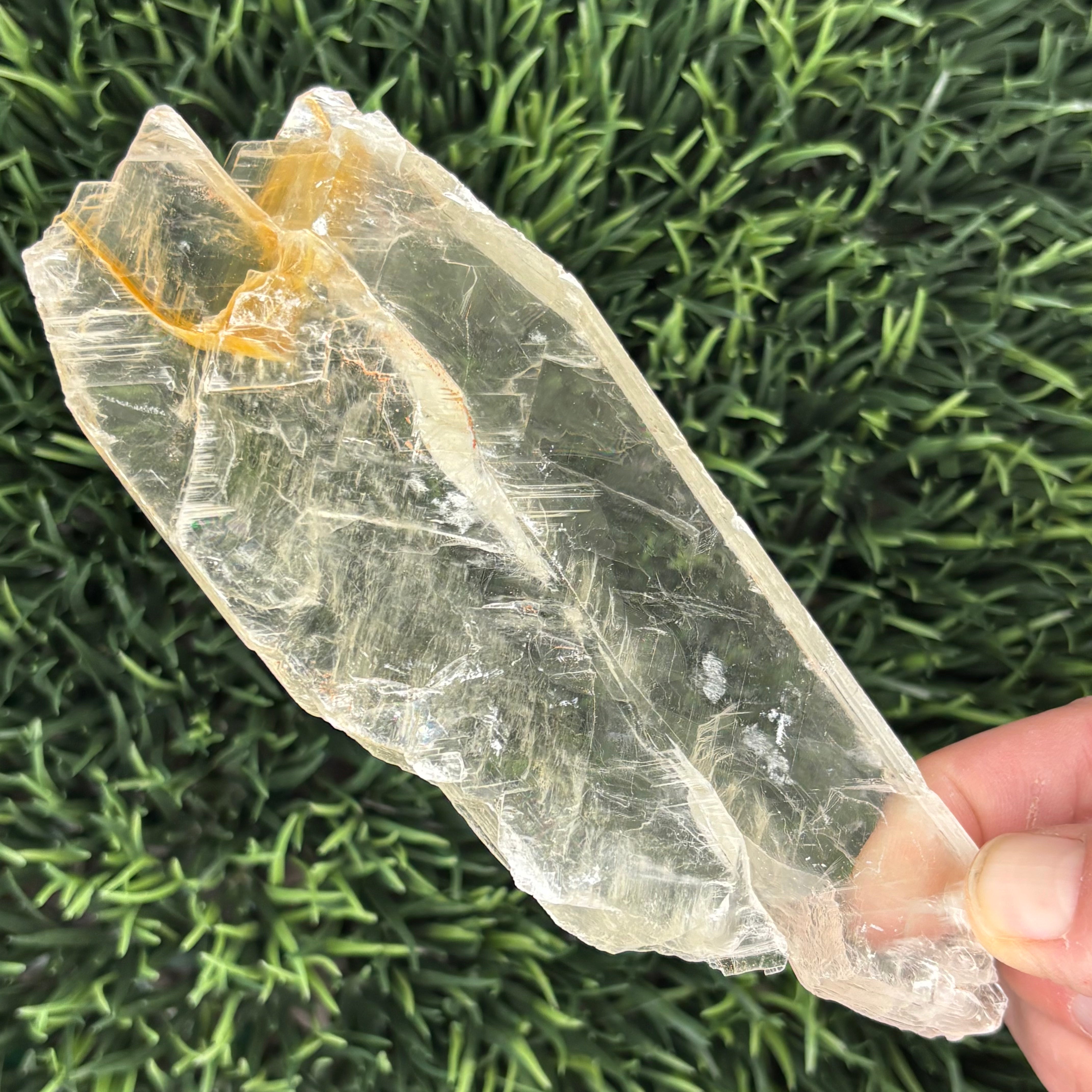 Golden Selenite Window - 624