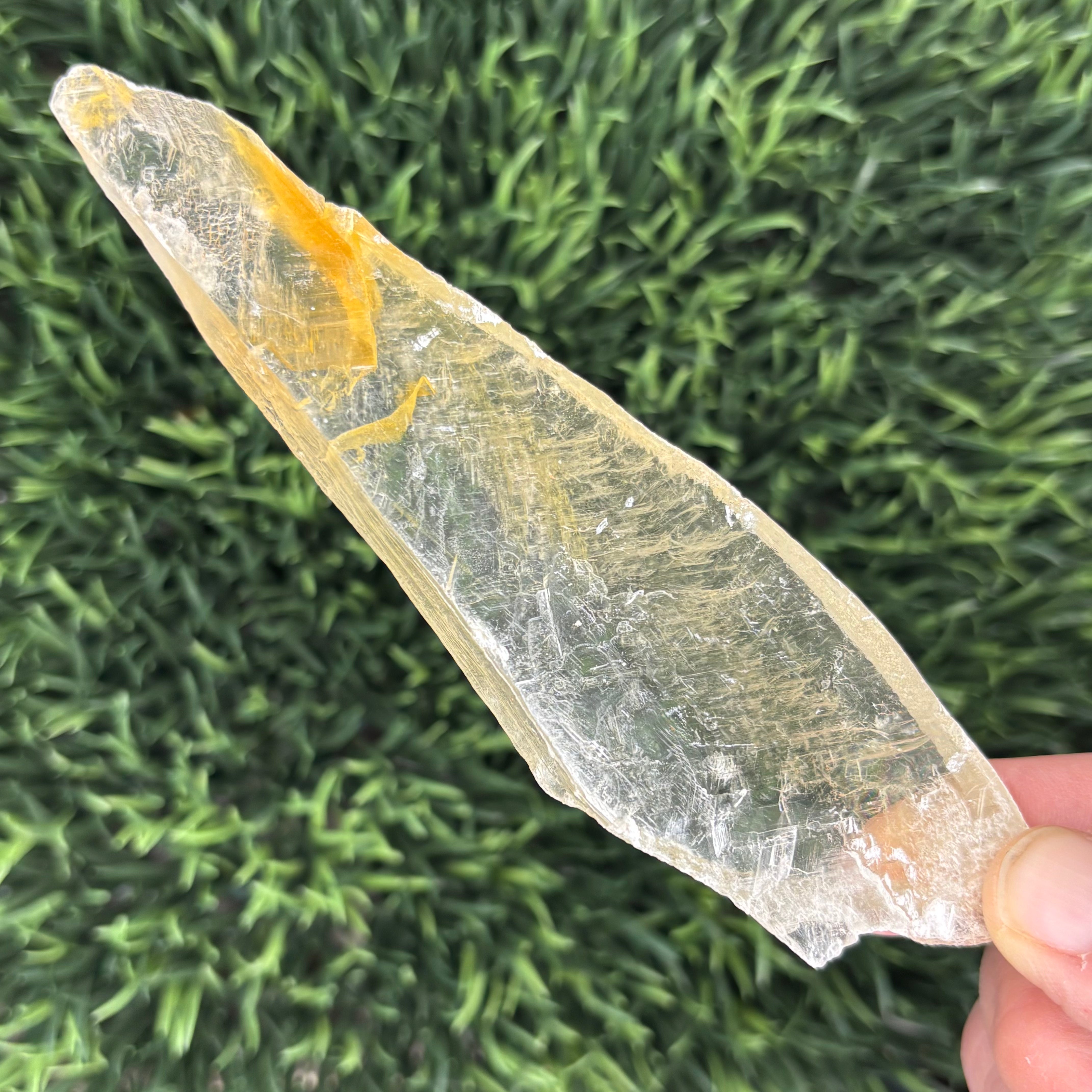 Golden Selenite Window - 625