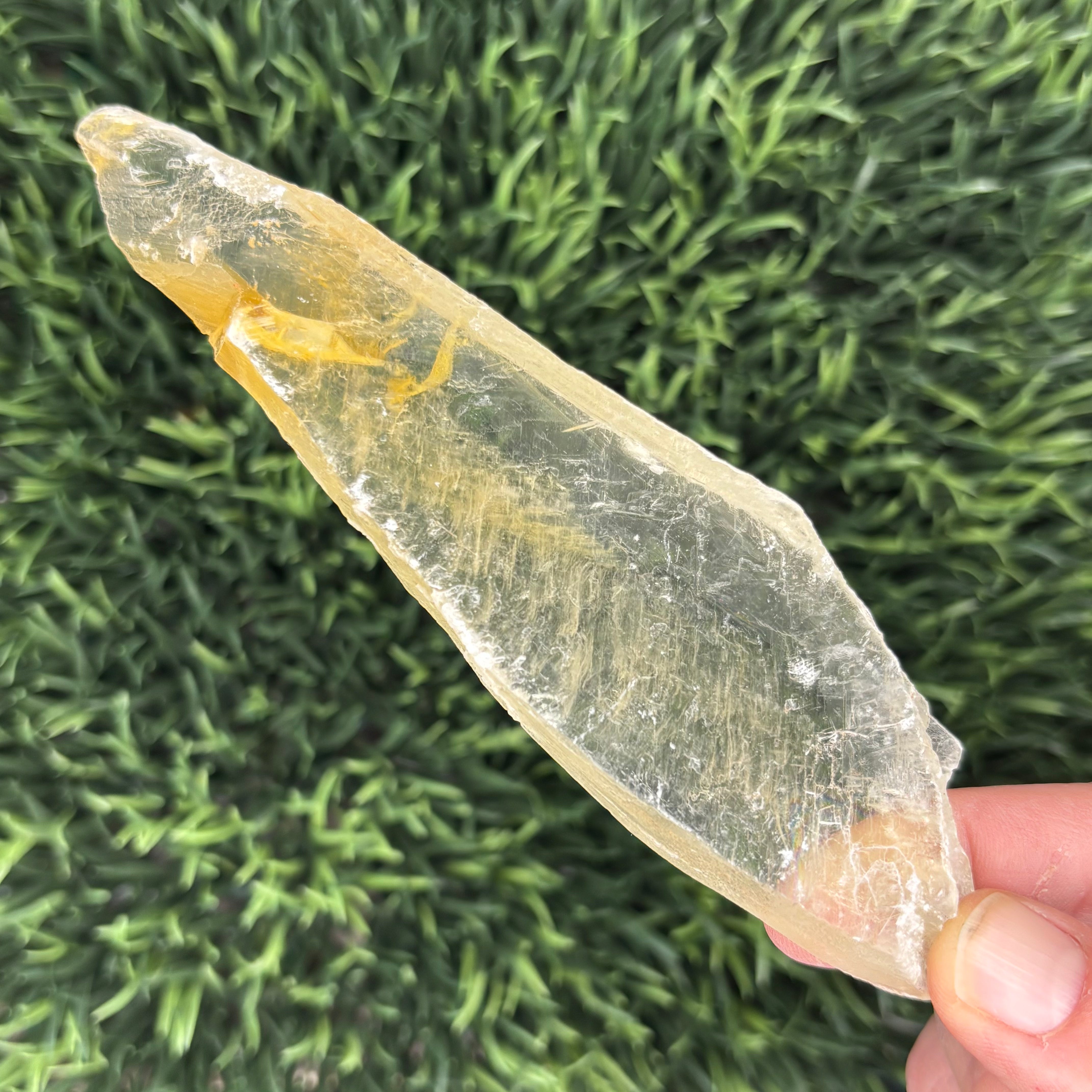 Golden Selenite Window - 625