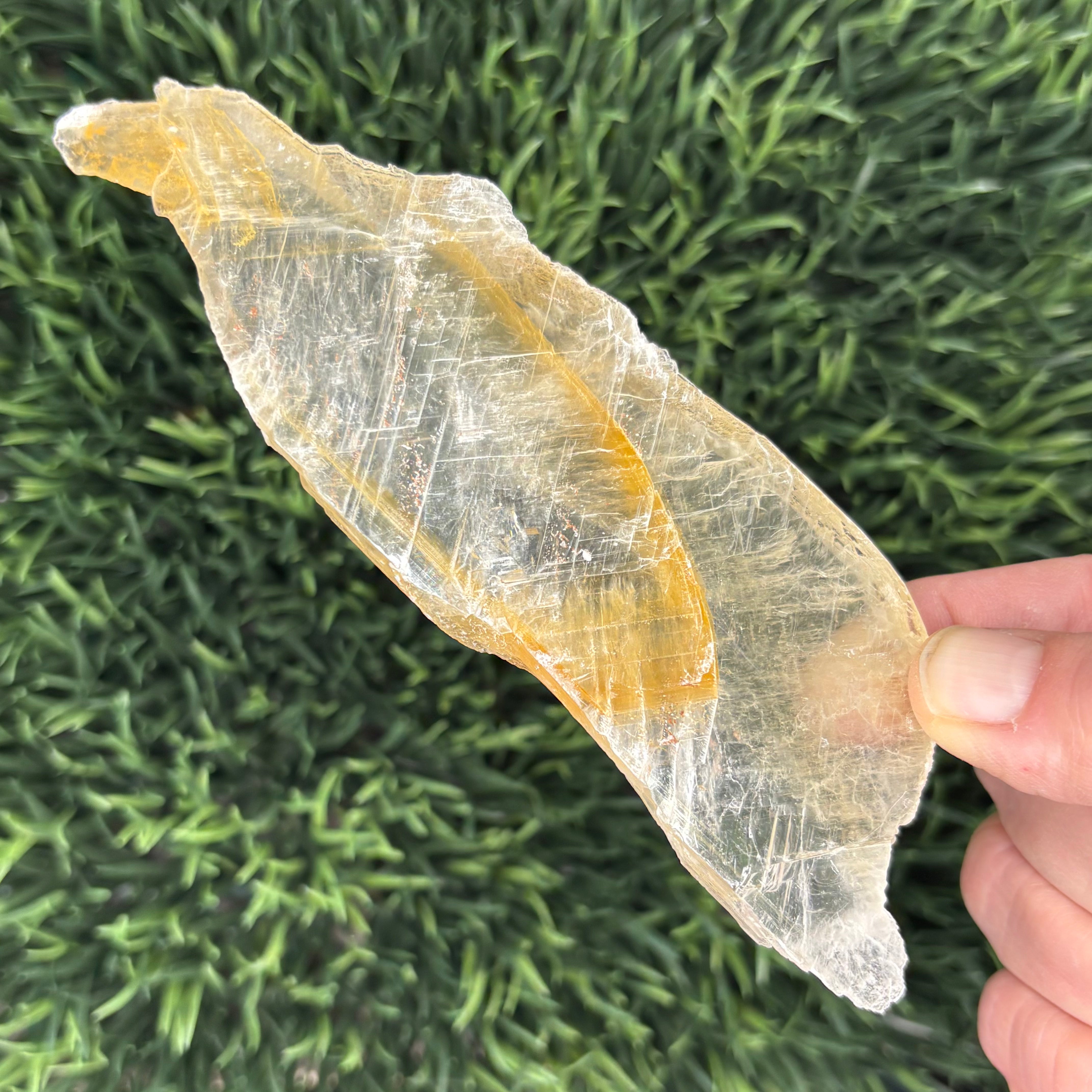 Golden Selenite Window - 626