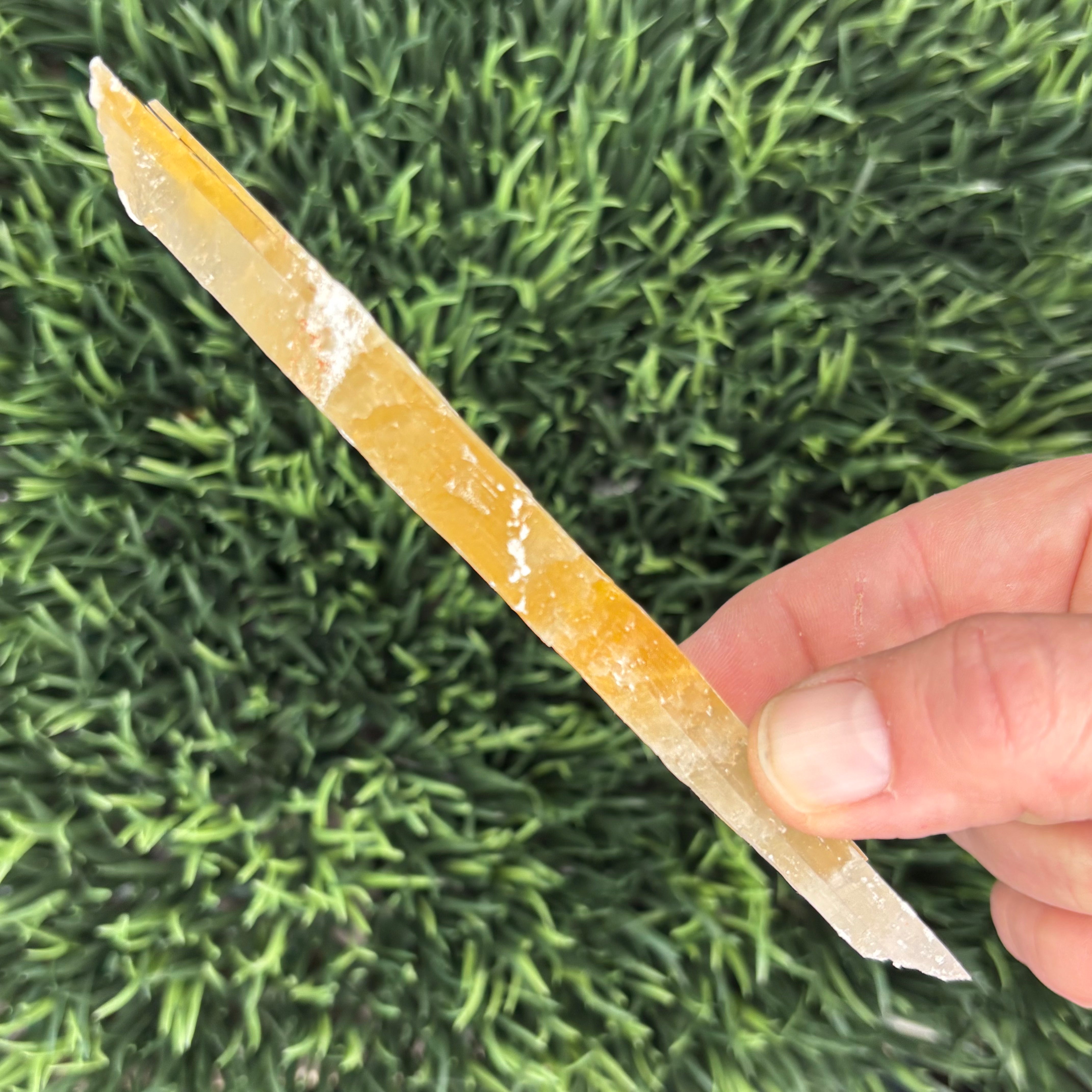 Golden Selenite Window - 626