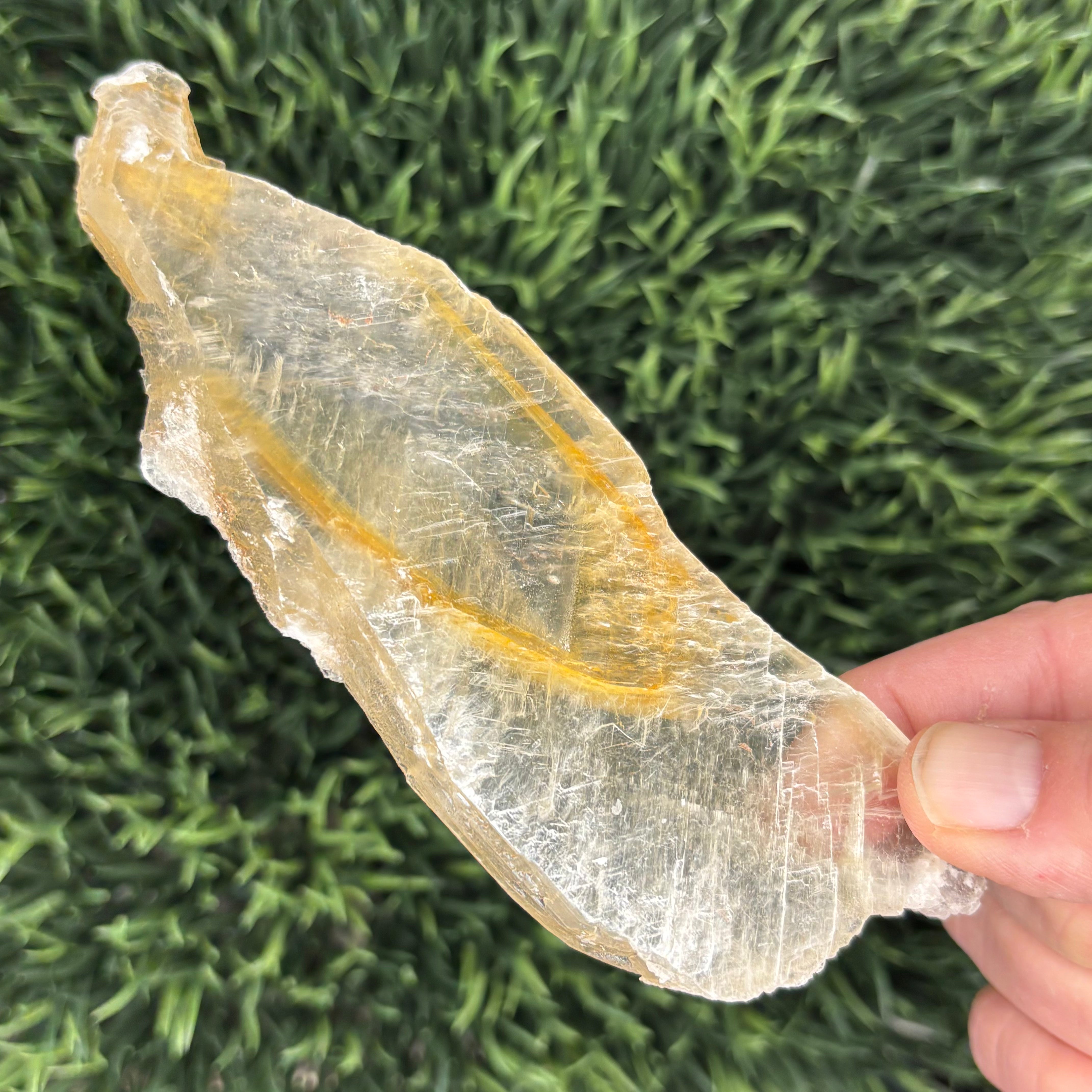 Golden Selenite Window - 626