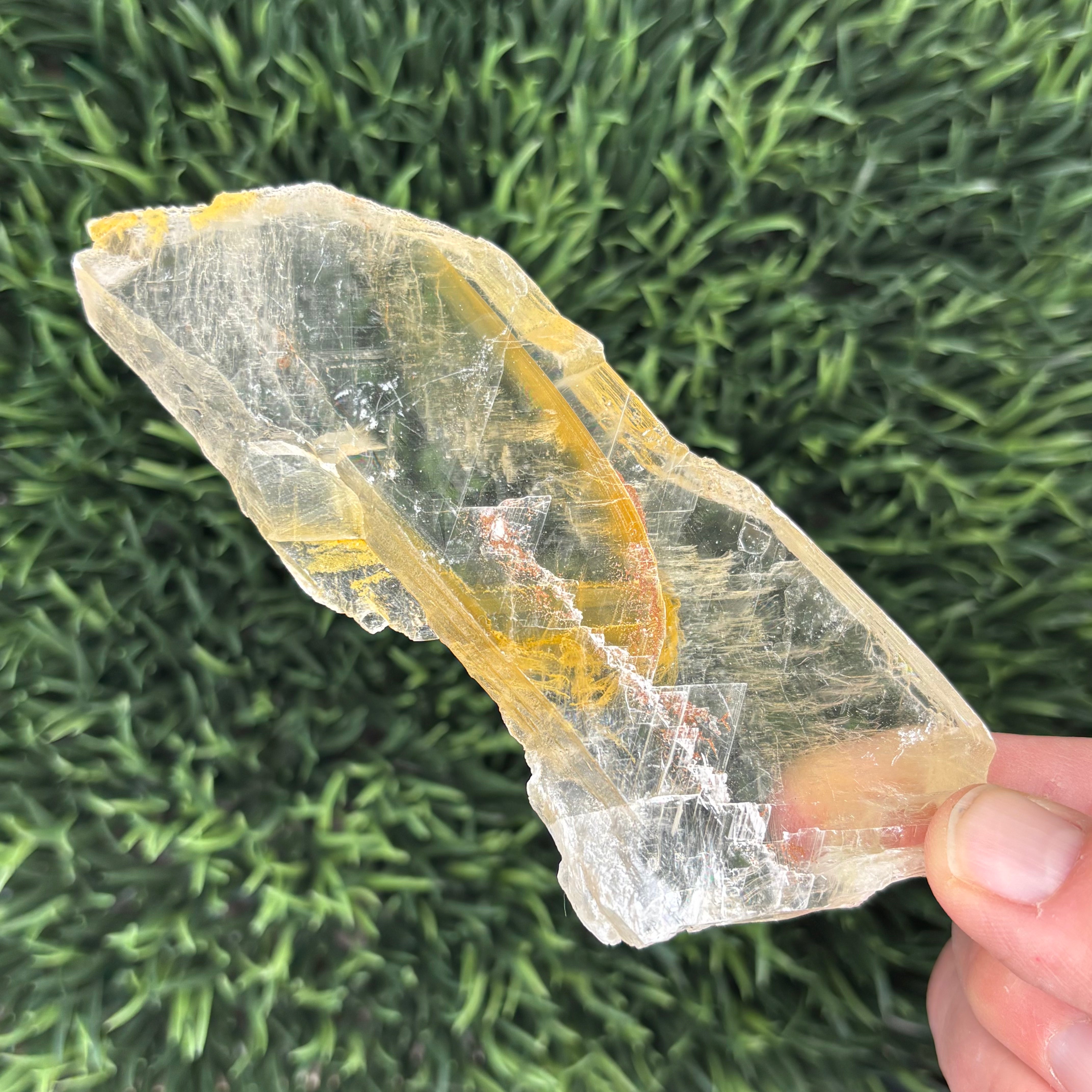 Golden Selenite Window - 627