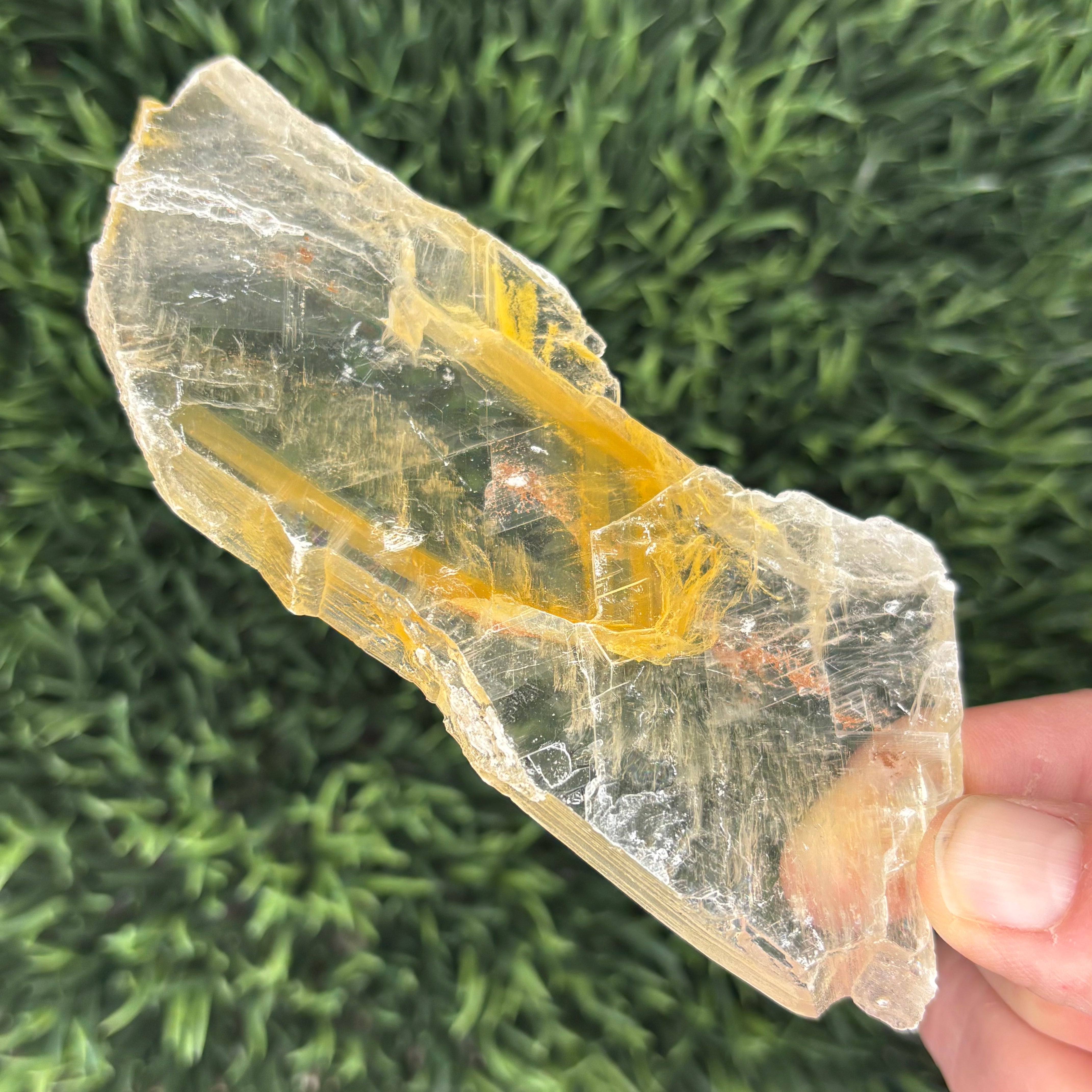 Golden Selenite Window - 627