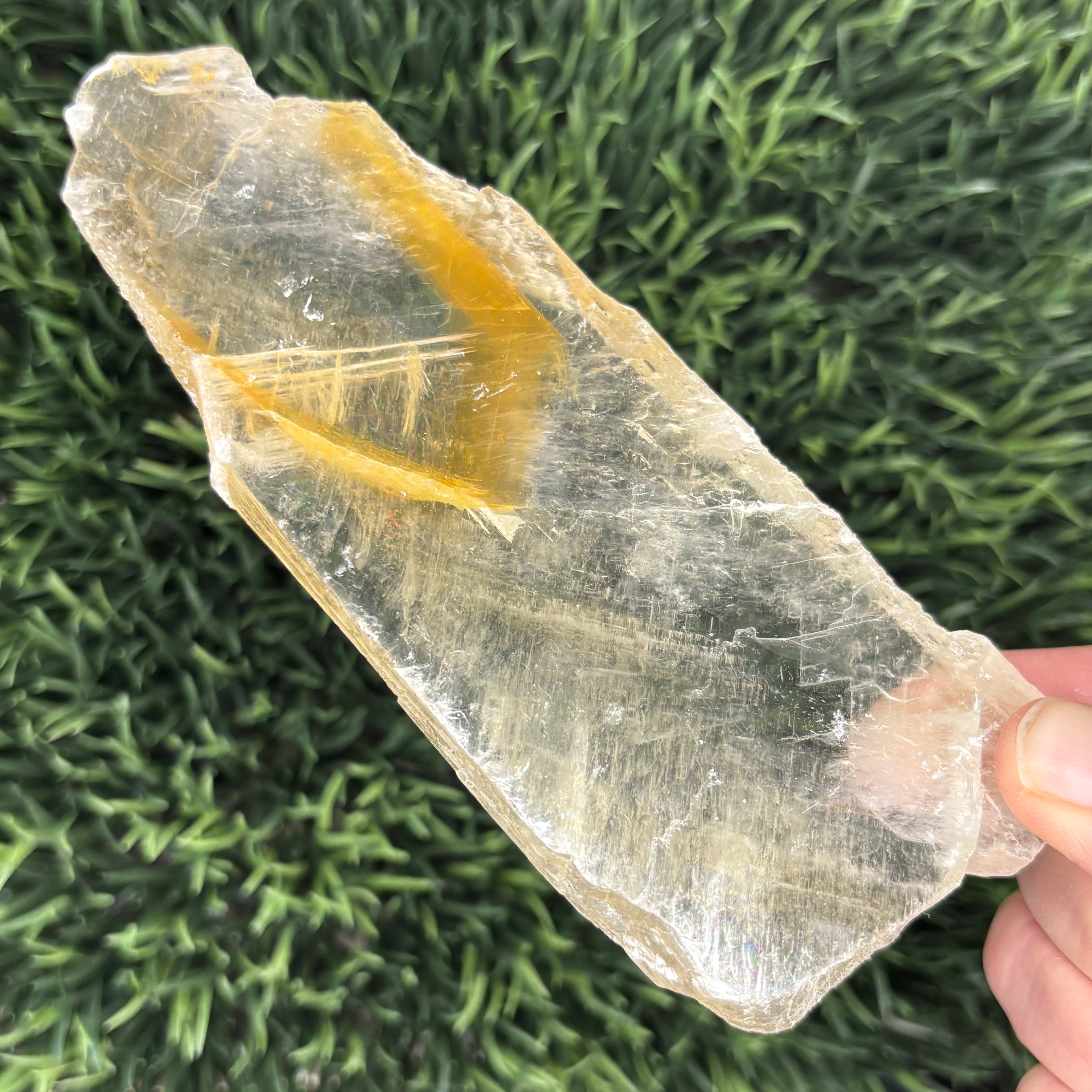 Golden Selenite Window - 628