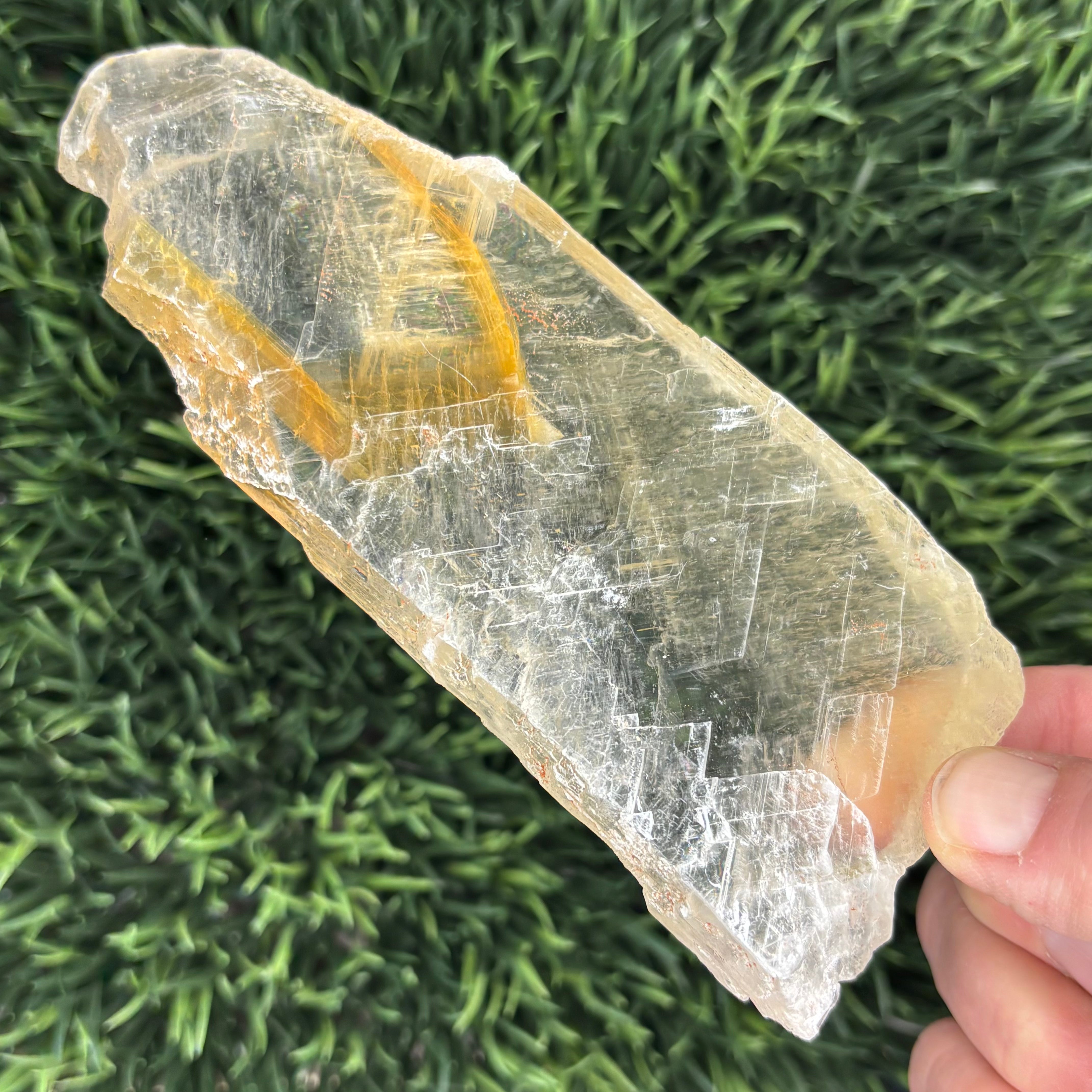 Golden Selenite Window - 628