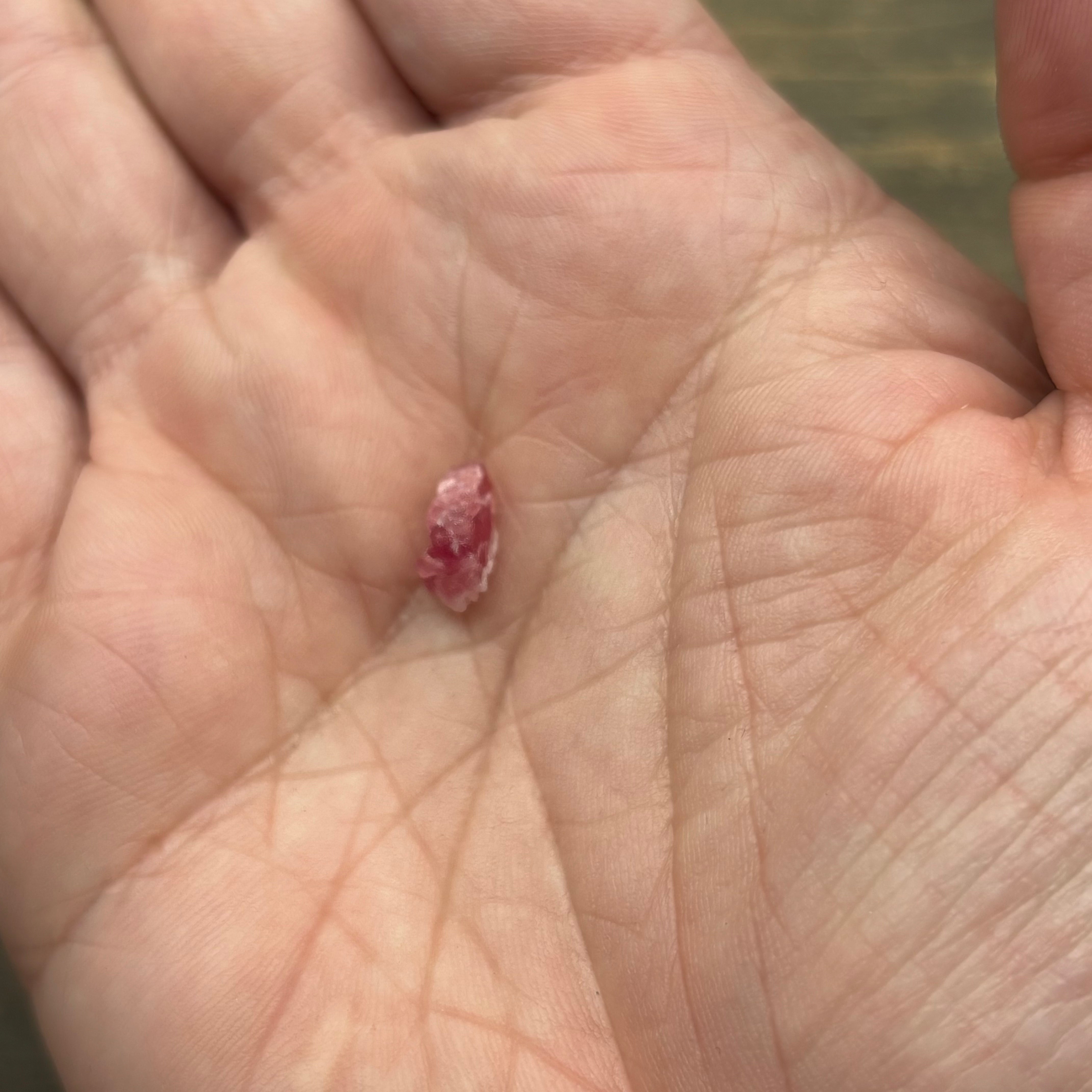 Raspberry Beryl (Pezzottaite) - 218
