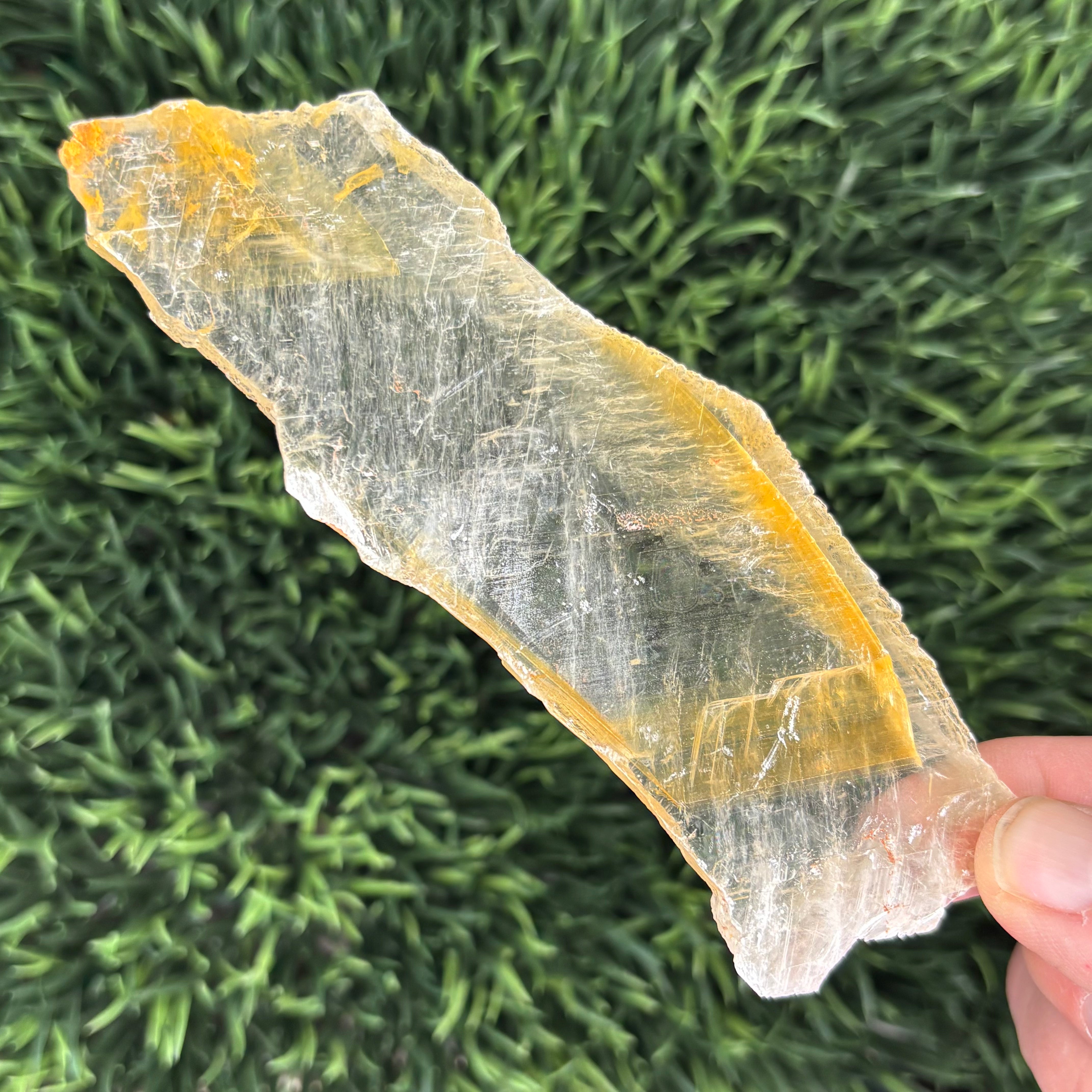 Golden Selenite Window - 630