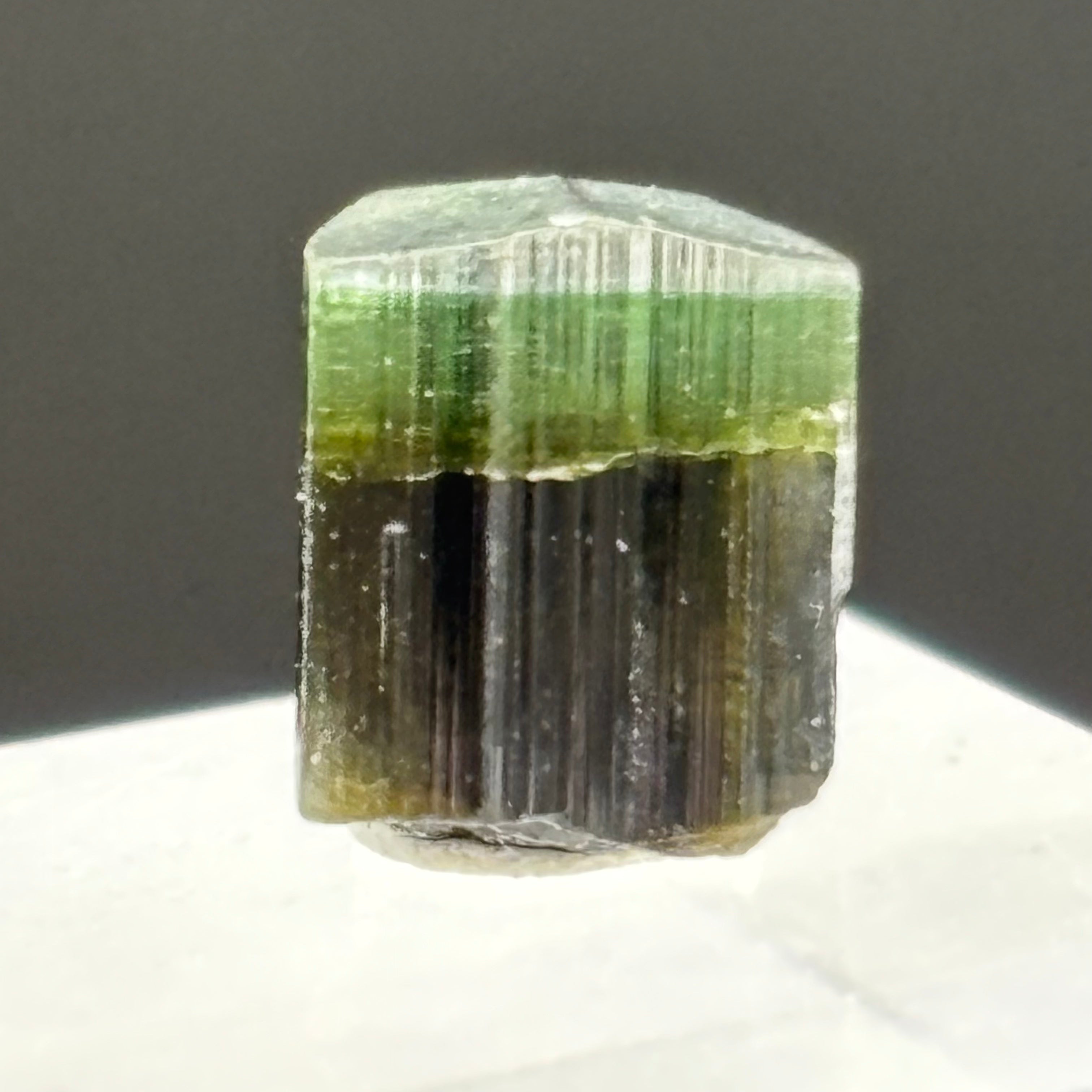 Green Tourmaline Crystal - 239