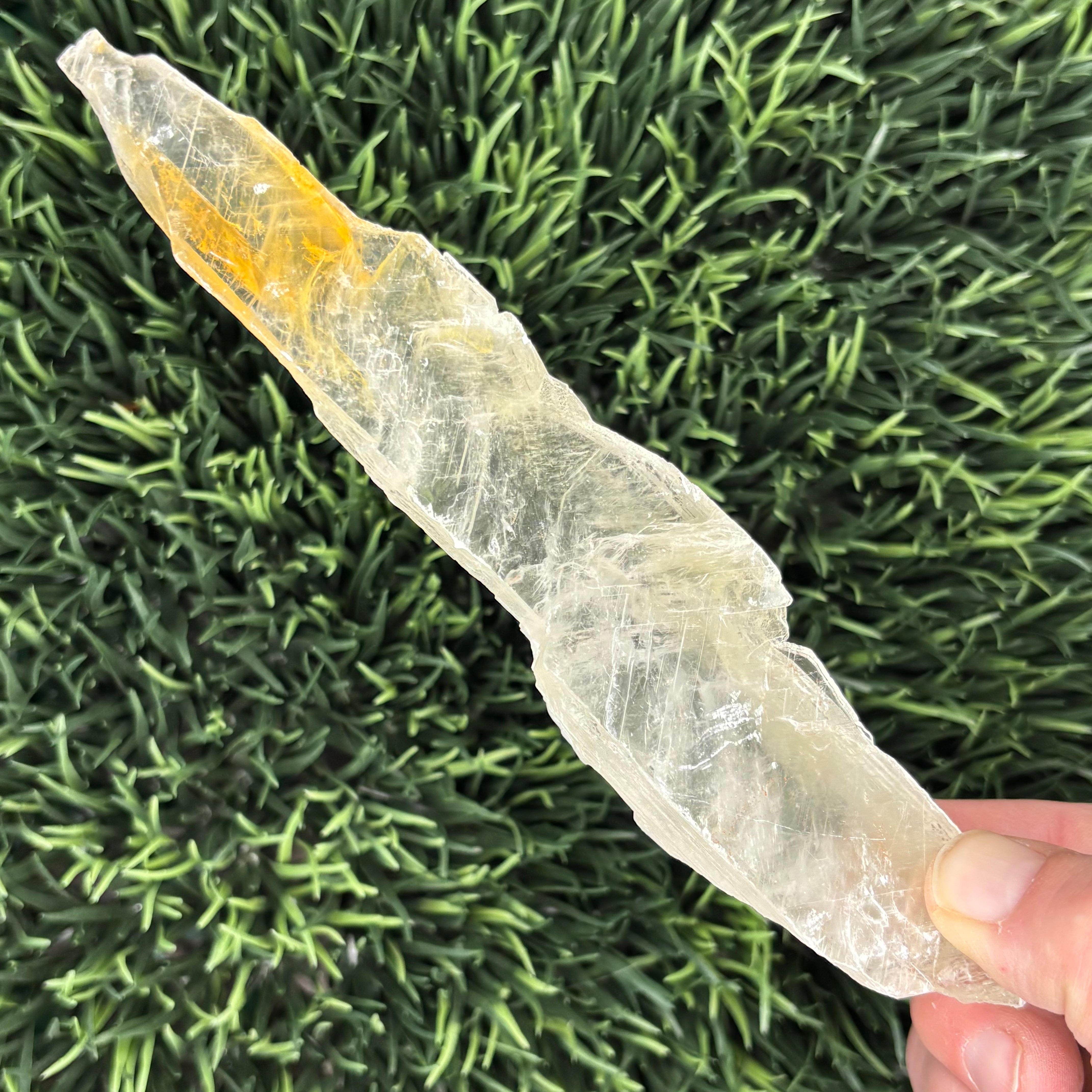 Golden Selenite Window - 631