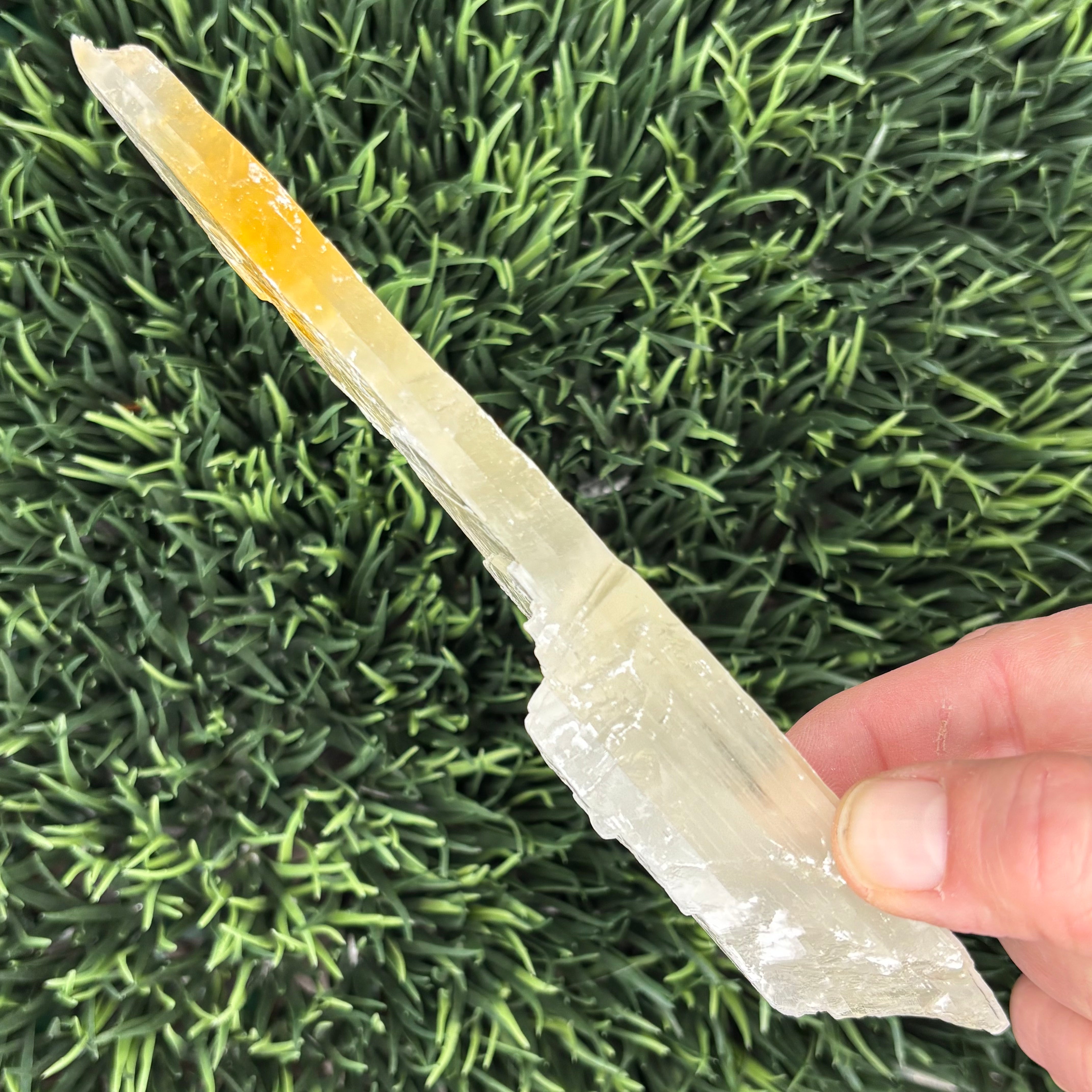 Golden Selenite Window - 631