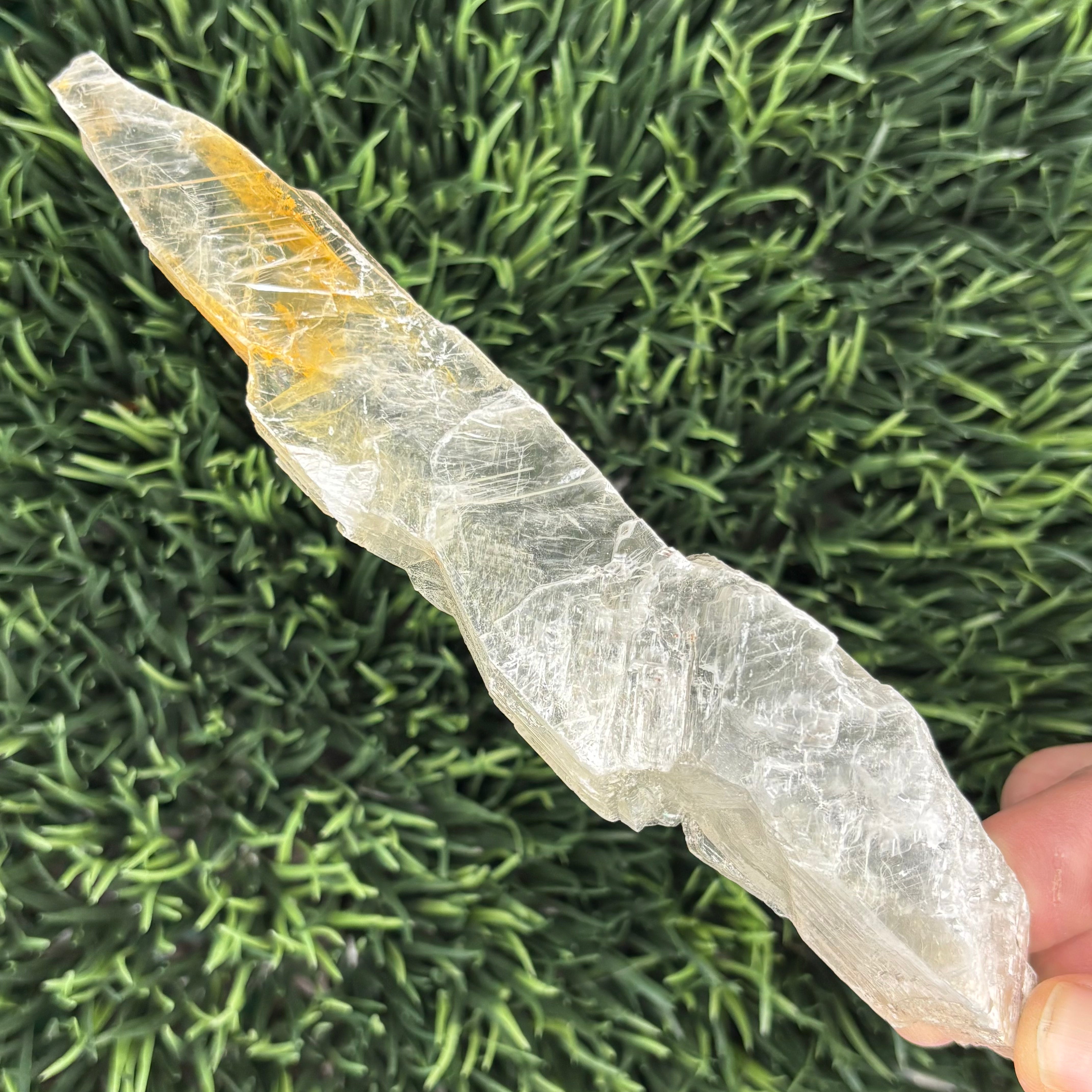 Golden Selenite Window - 631