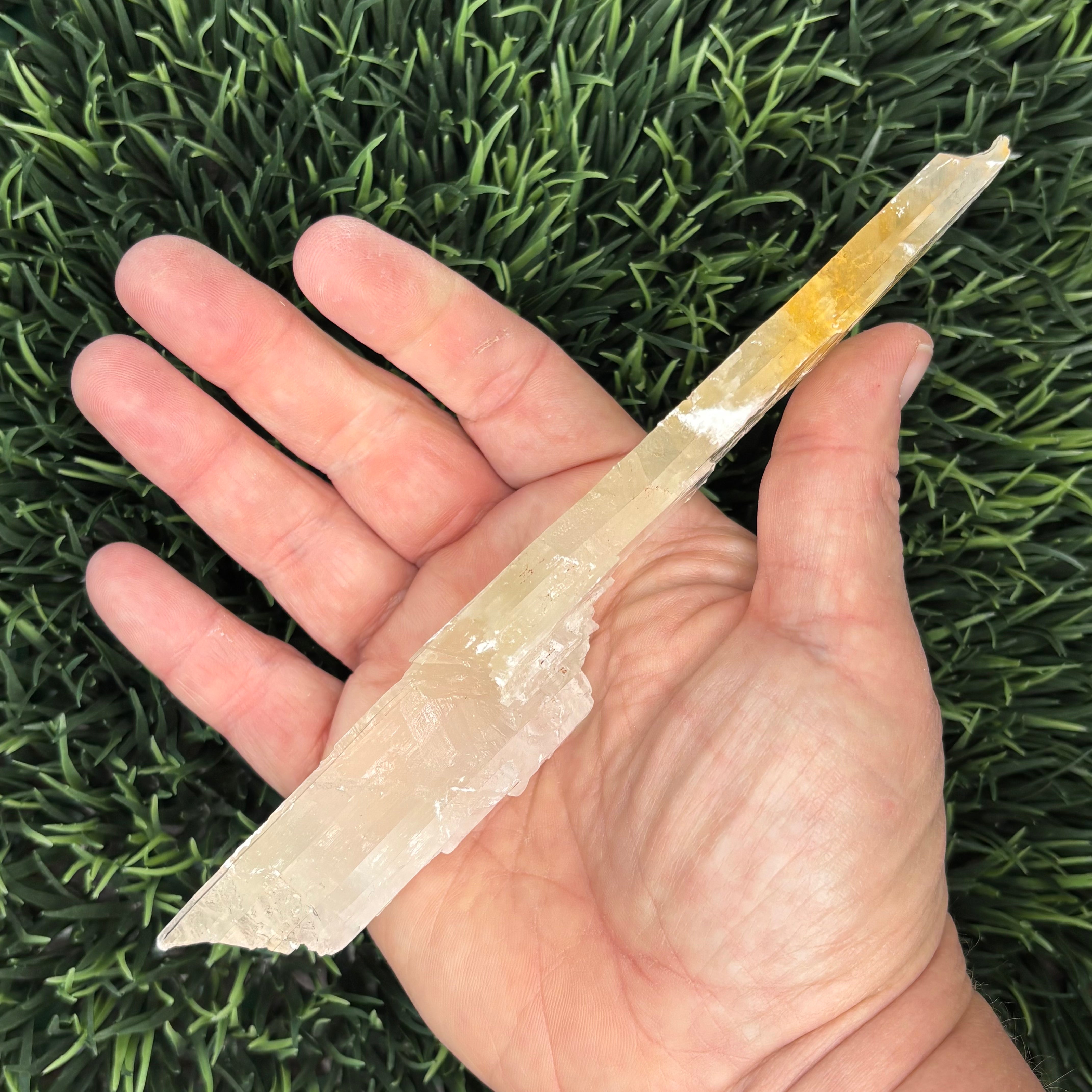 Golden Selenite Window - 631
