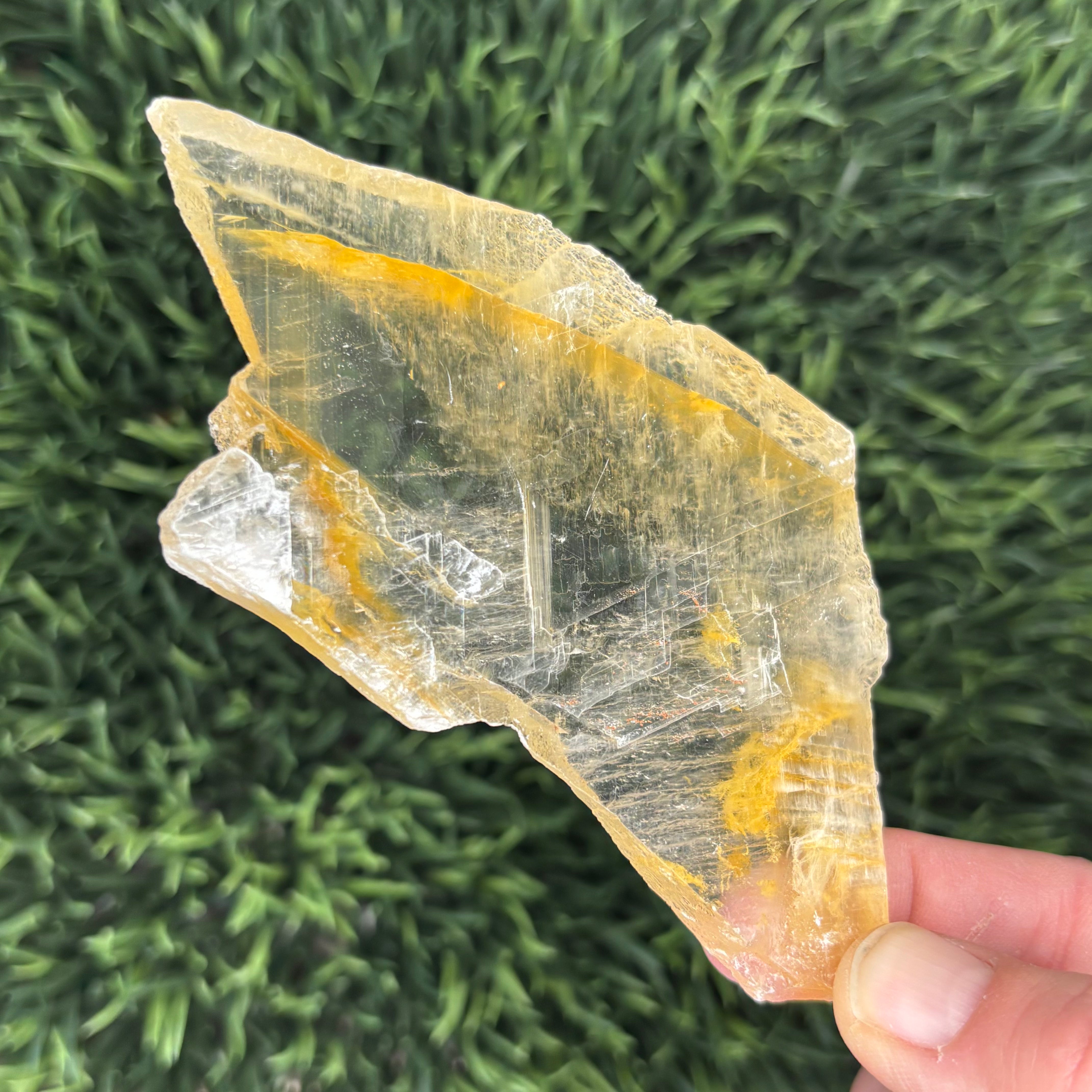 Golden Selenite Window - 632