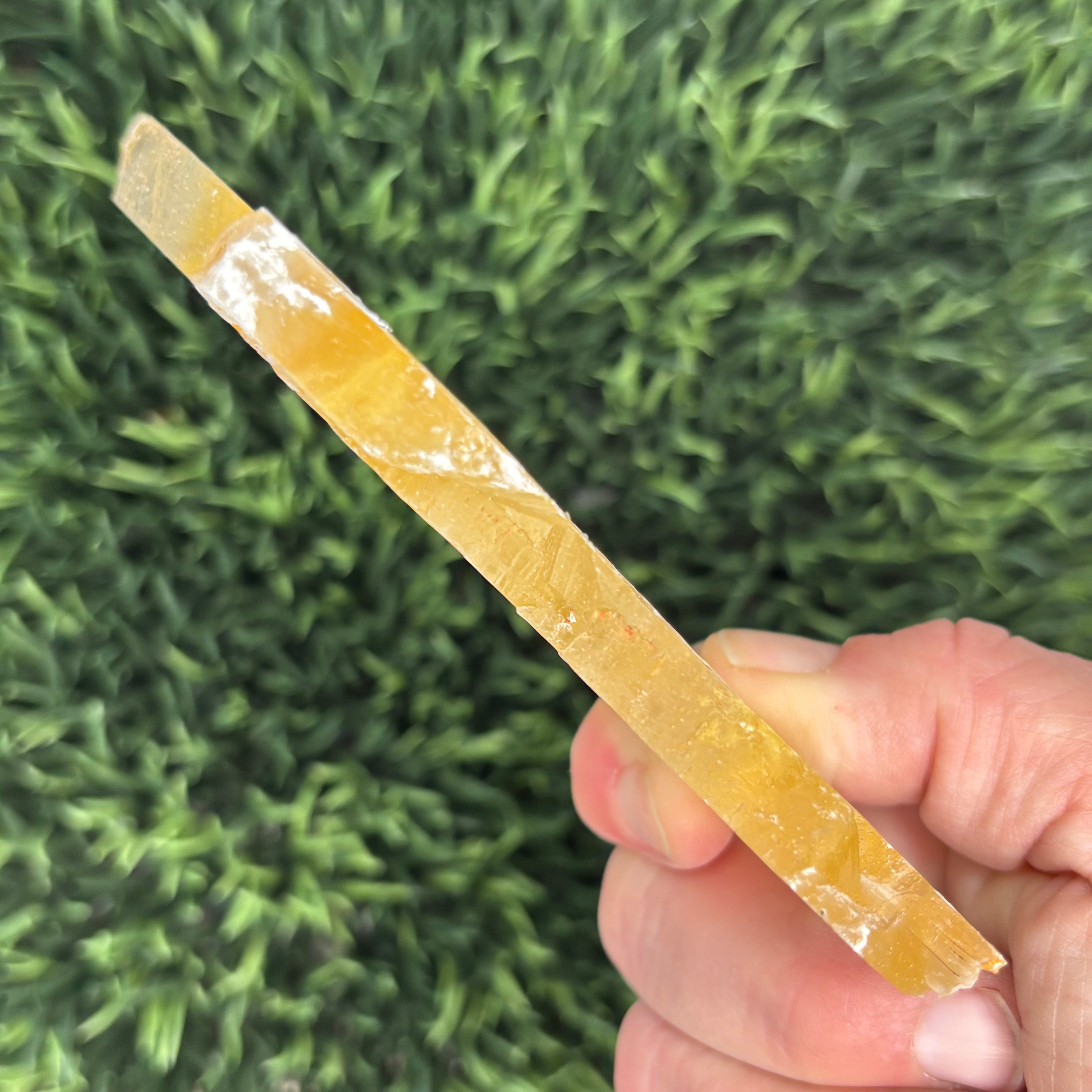 Golden Selenite Window - 632